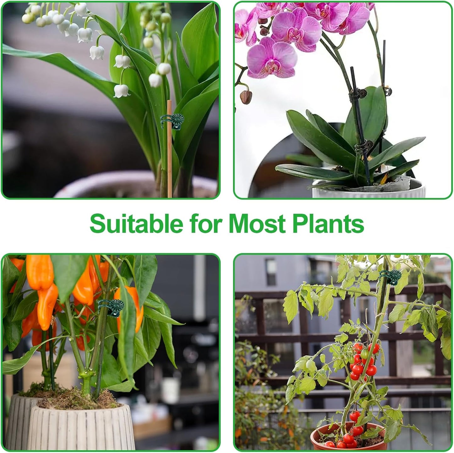 100 Pcs Plant Clips Orchid Clips,Plant Orchid Support Clips,Flower and Vine Clips，Garden Clips，Plant Clips for Climbing Plants