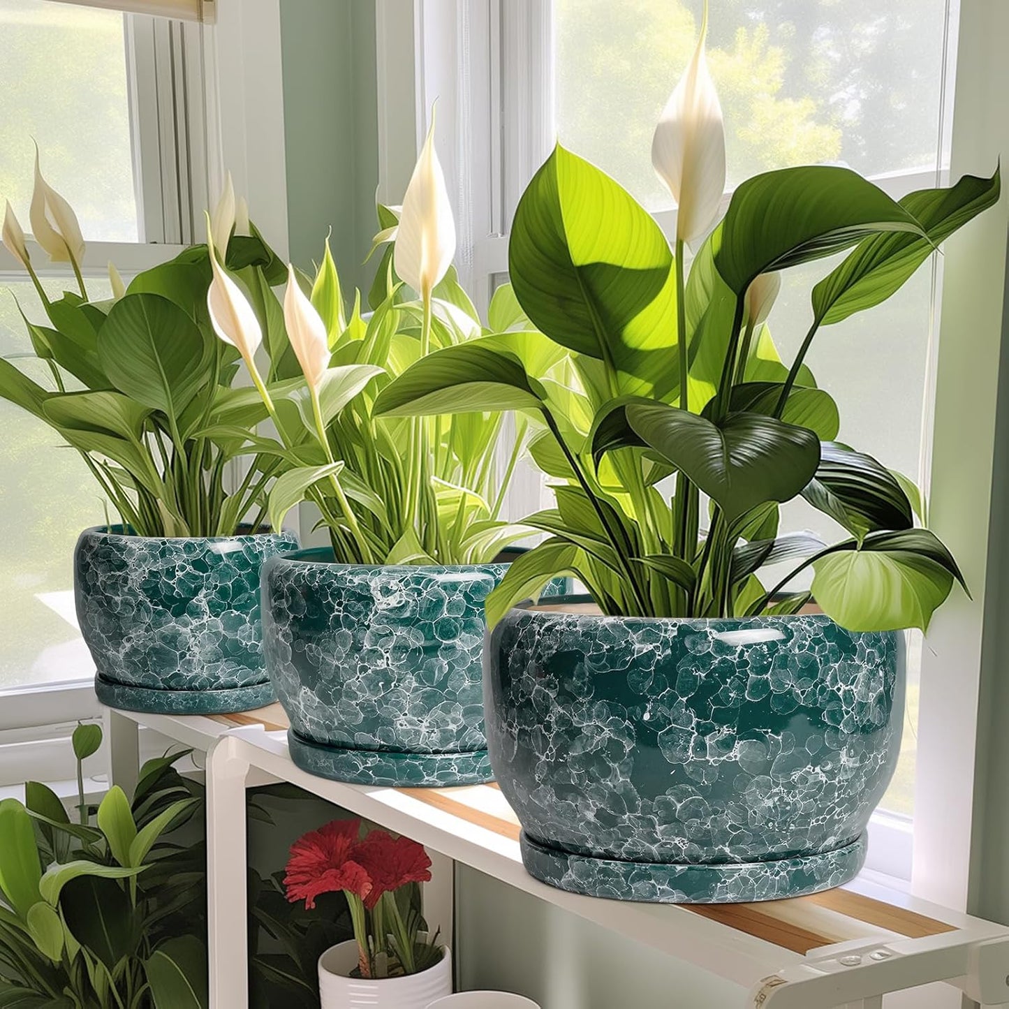 SQOWL 8 Inch Plant Pot - Ceramic Planter for Indoor Plants, Decorative Flower Pot with Drainage Hole and Saucer, Round Planter Outdoor, Room Patio Decor, Garden Gifts for Women, Green