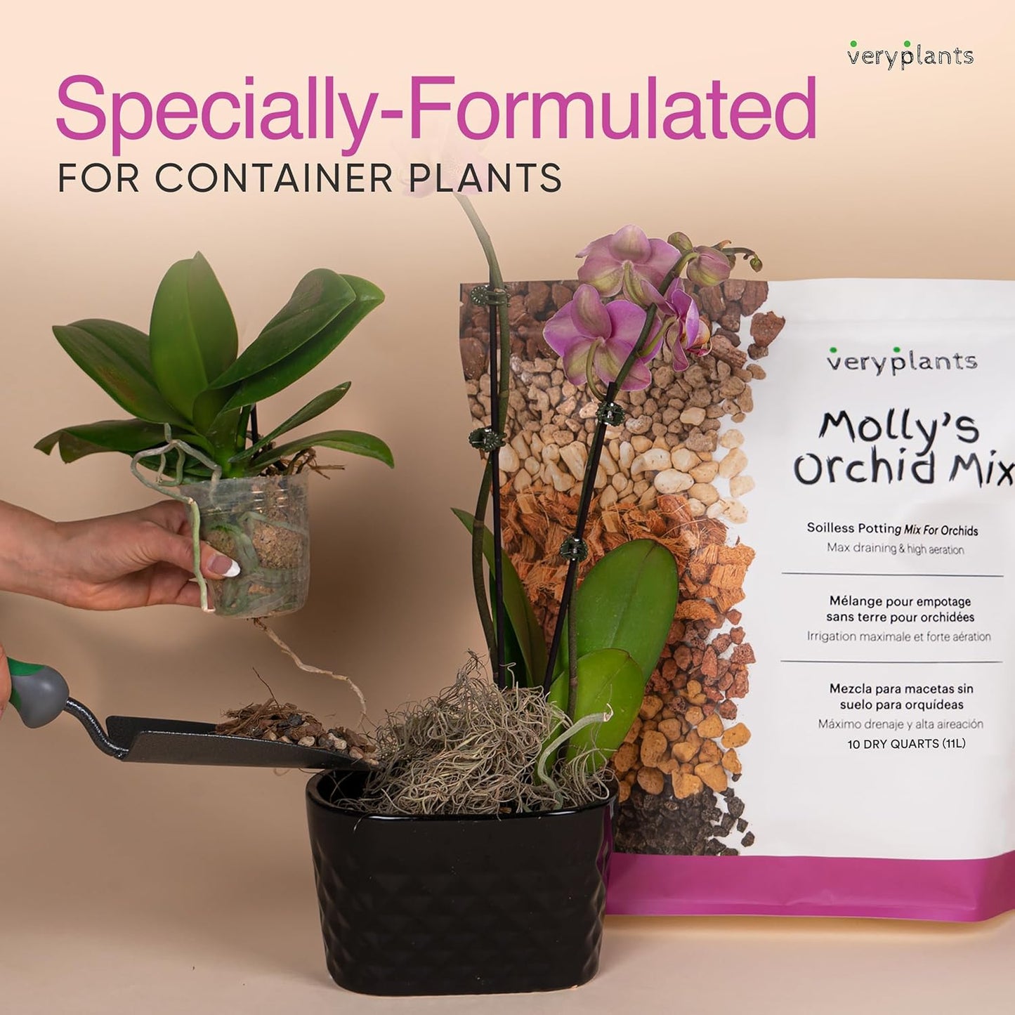Molly's Orchid Potting Mix - Premium Gritty Soilless Orchid Mix - Chunky High Drainage vs Standard Potting Soil for Indoor Plants - Contains Bark, Coco Chips, Akadama, Pumice, Lava Rock 3 Dry Quarts