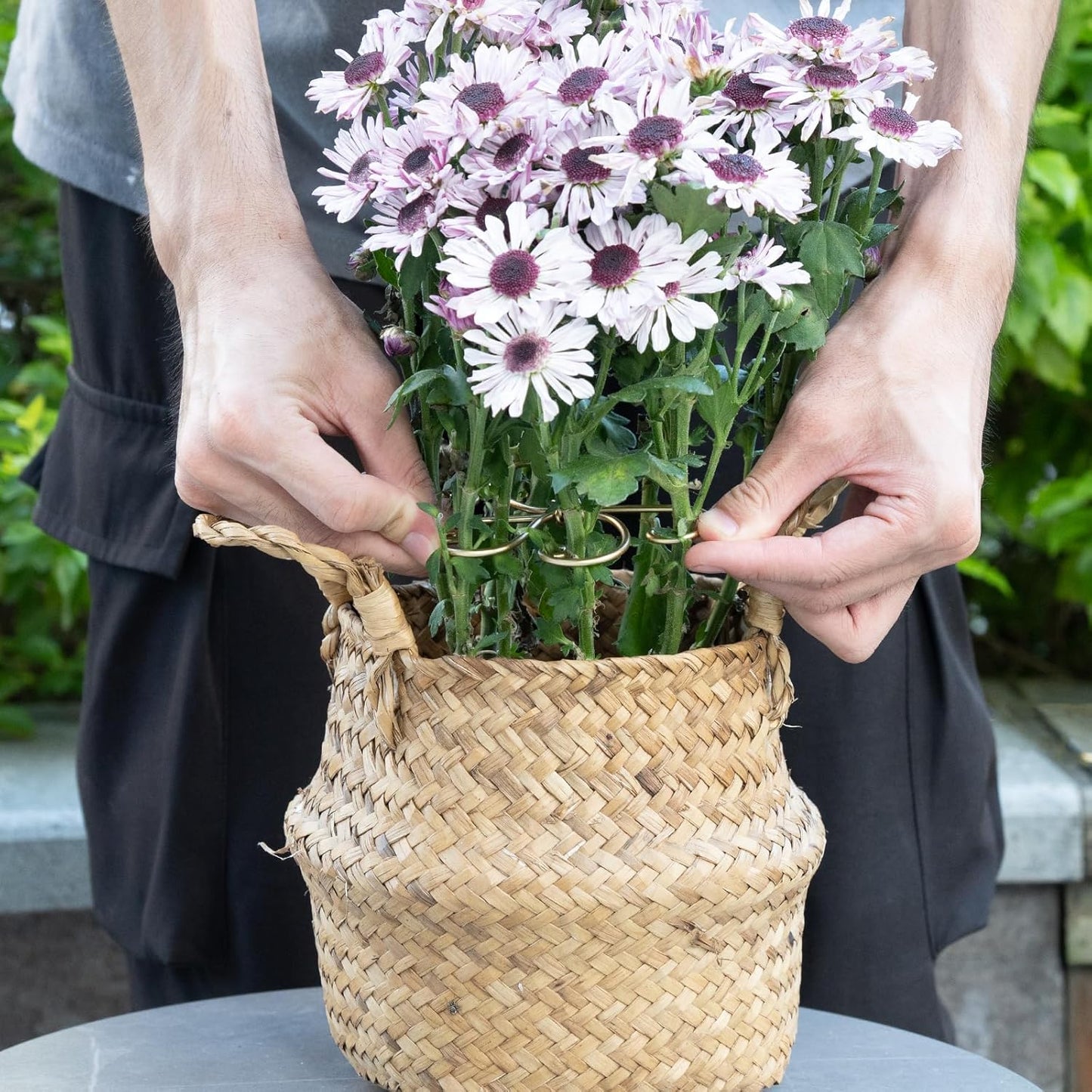 5PCS Plant Stem Support - Durable 5pcs Iron Grapple Holder for Monstera & Climbing Plants, Unique Design for Optimal Growth, Bamboo Clamp Set for Leaf Stabilization and Support (Gold)