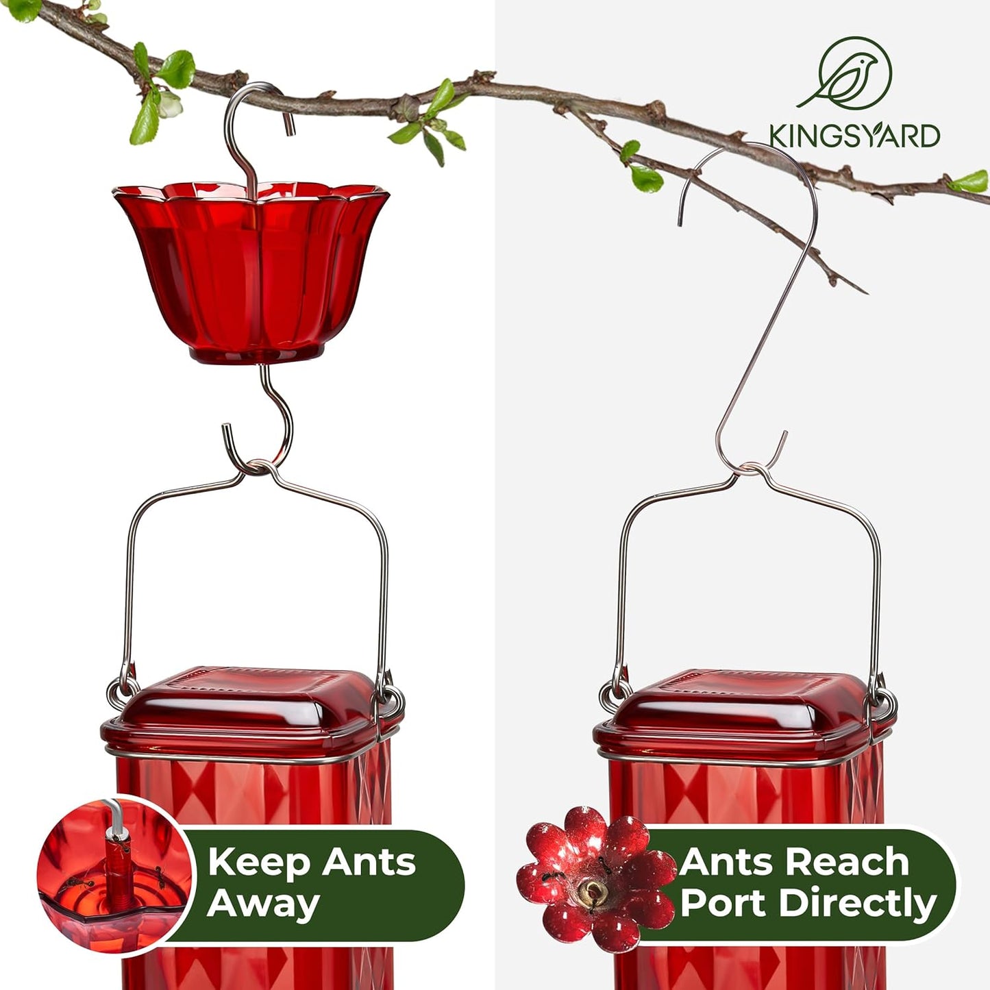 Kingsyard 2 Pack Glass Hummingbird Feeder for Outdoor Hanging, 24 Ounces, 6 Feeding Ports, Bird Nectar Feeder for Garden Décor, Ant Moat Included, Red