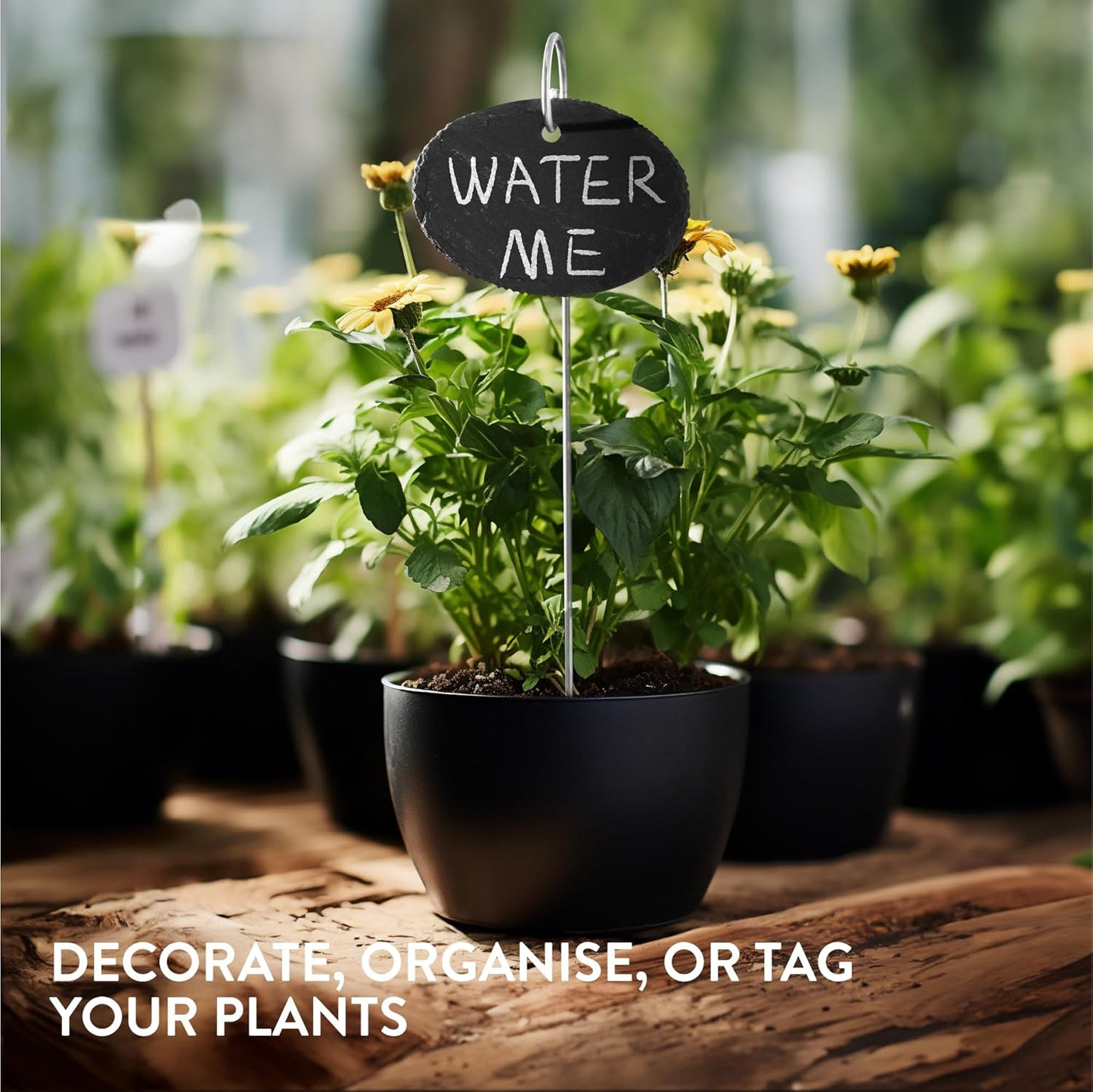 Navaris Slate Plant Labels (15 Pieces) - Garden Marker Label Signs with Stakes - Markers for Plants, Vegetables, Herb Gardens - with Chalk Pencils - Oval