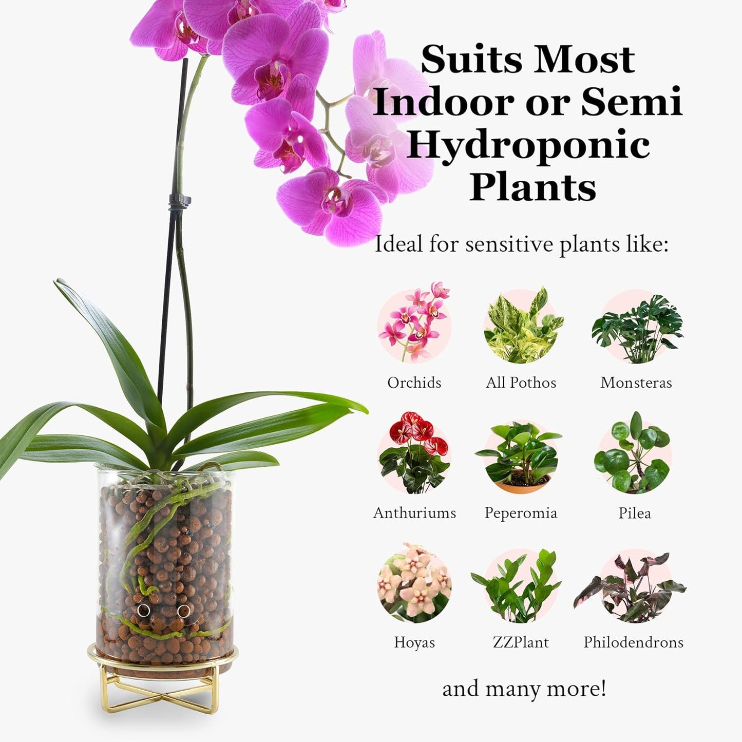 Pot & Pebble - C9 Glass Planter with Decorative Metal Base - Plant Propagation Station with Water Level Control - Plant Cutting Holder for LECA Clay Pebbles/Similar Media - Semi Hydroponic Planter