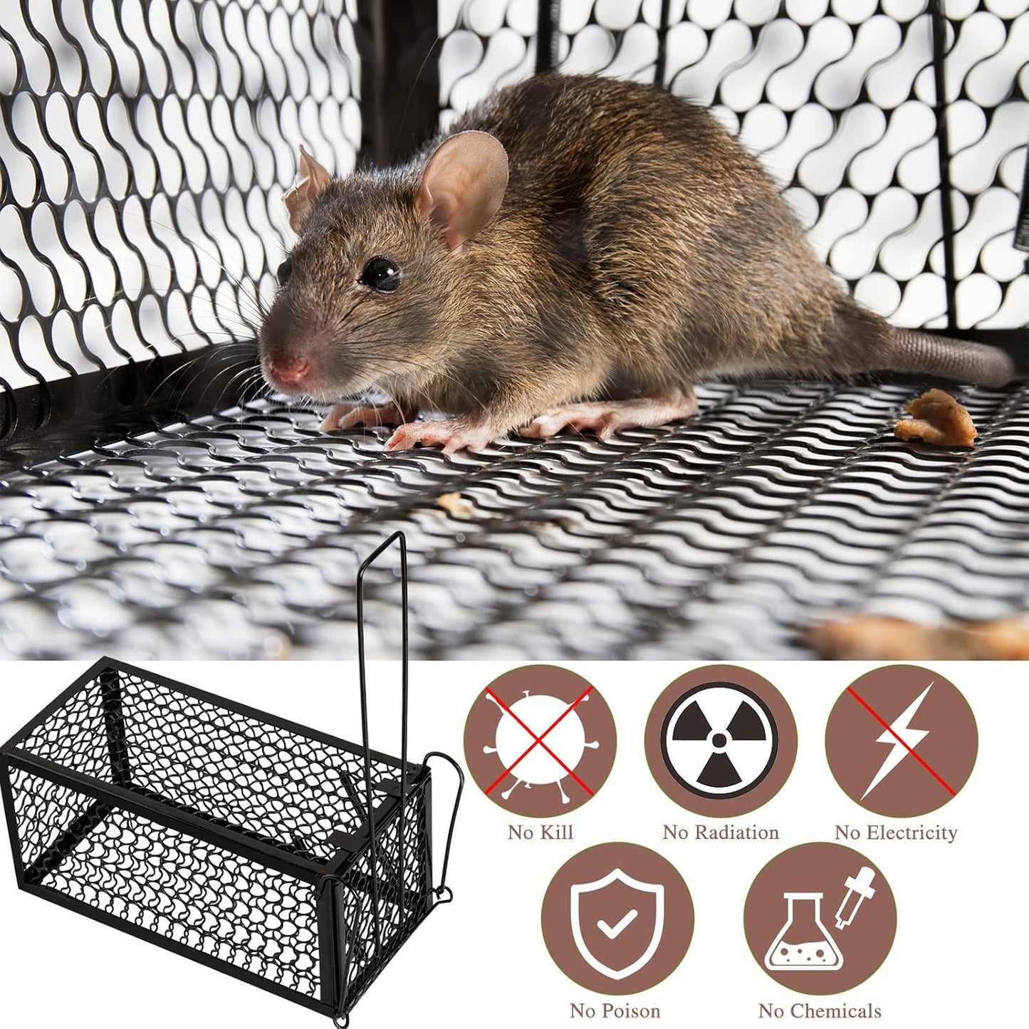 Qualirey 4 Pcs Humane Rat Trap Chipmunk Rodent Mouse Squirrel Trap Small Live Animal Mouse Voles Hamsters Live Cage Rat Cage for Mice Easy to Catch and Release (Black)