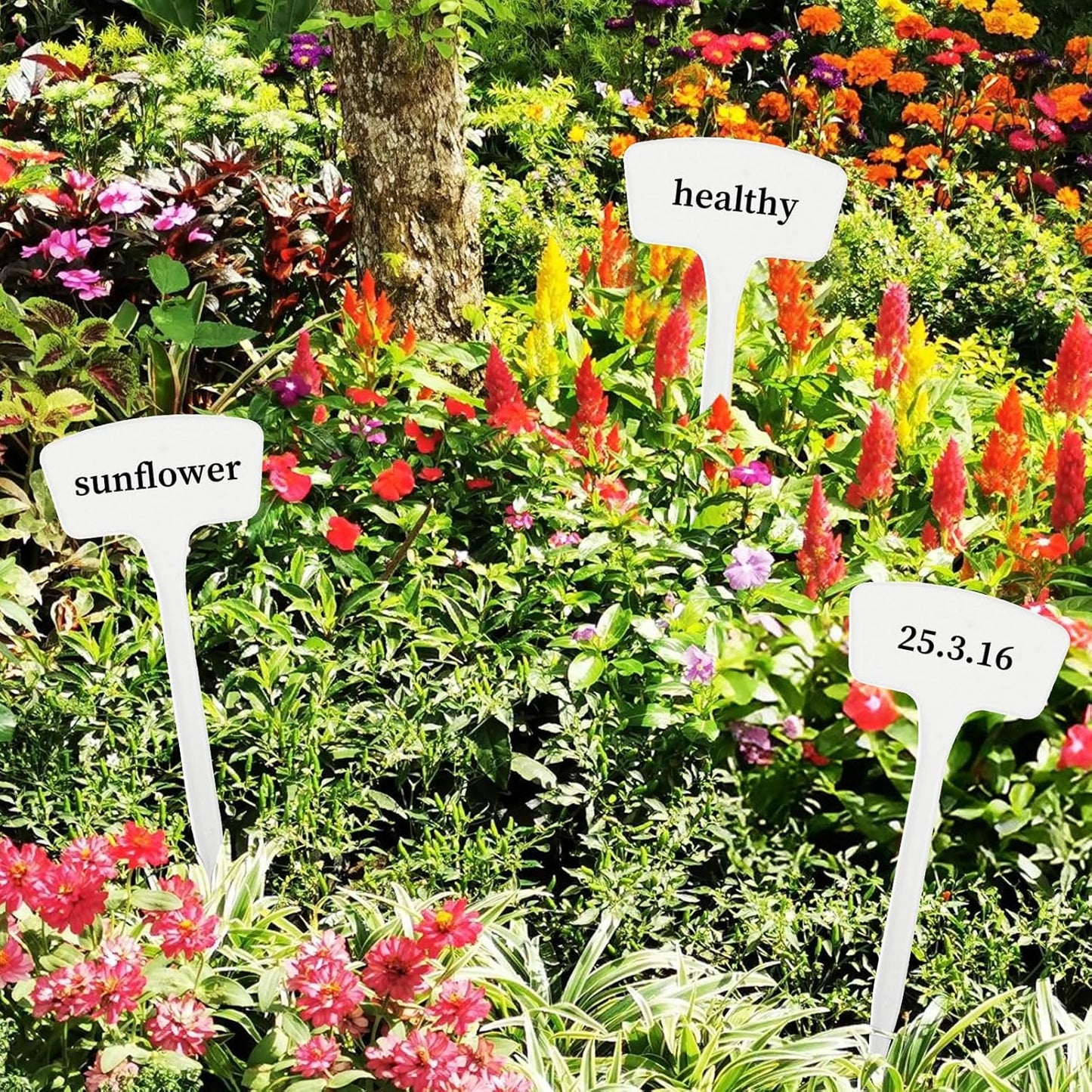 100 Pcs Plant Labels,T-Type 10.63inch Large Plastic Plant Tags Waterproof Plant Makers Nursery Garden Labels for Outdoor Indoor Plants Herbs Flowers Vegetable Potted Belt Marker Pen (White)