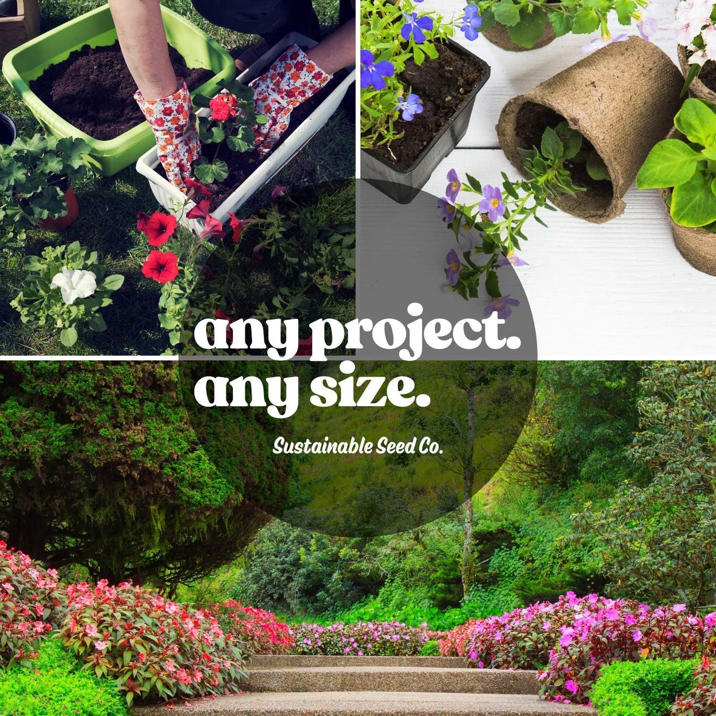 Pollinator Wildflower Seeds Bulk – 5 lb, 3.2 Million+ Seeds – 23 Variety Mix for Hummingbirds & Butterflies – Non-GMO Annual & Perennial Flower Seed for Planting