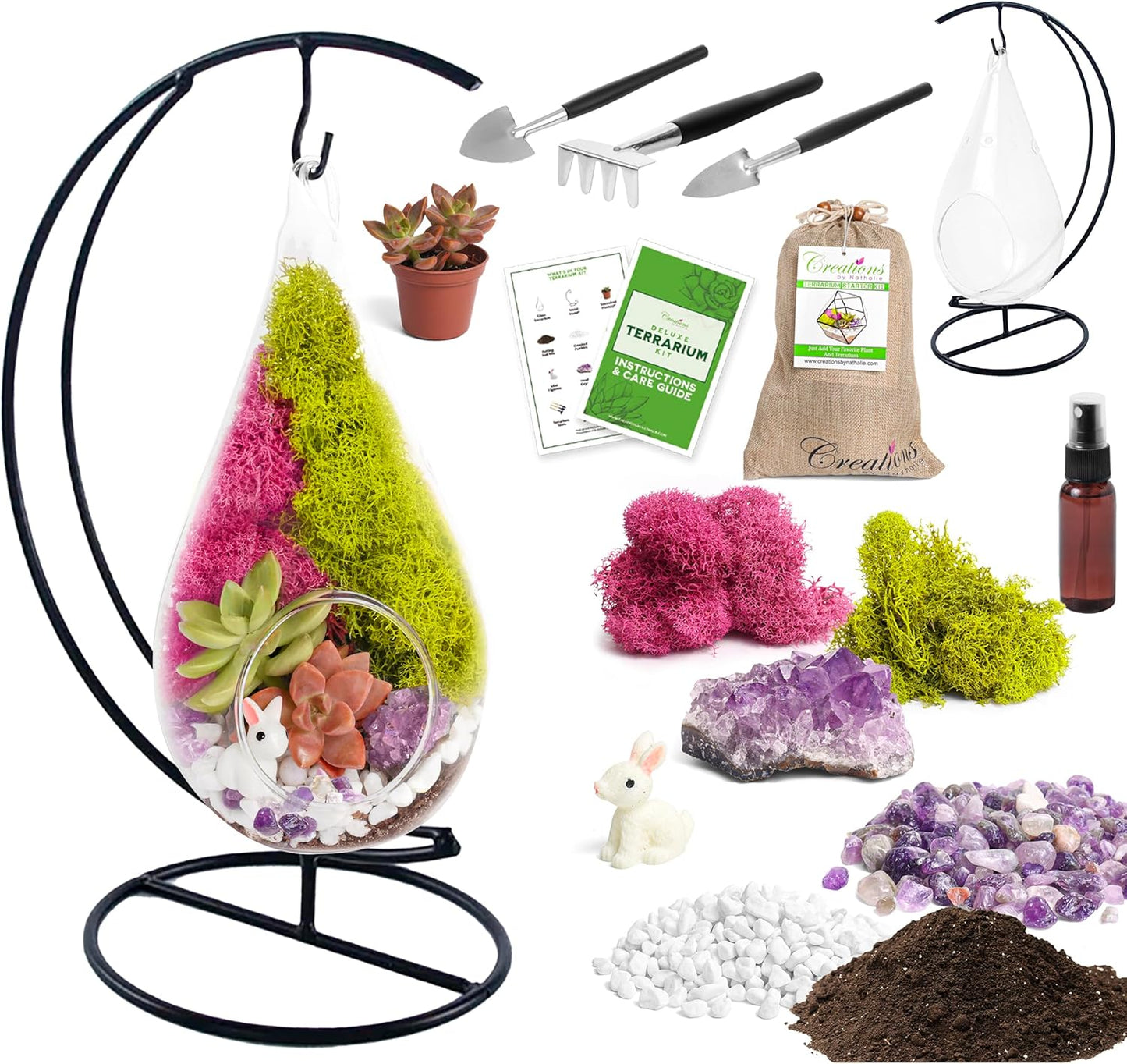 Plant Terrarium Kit W/Live Succulent (Fresh from Florida), Choose Your Glass DIY Terrarium Starter Kit for Adults, Metal Stand, Reindeer Moss, Crystal & Rocks, Tools, Figurine