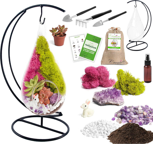 Plant Terrarium Kit W/Live Succulent (Fresh from Florida), Choose Your Glass DIY Terrarium Starter Kit for Adults, Metal Stand, Reindeer Moss, Crystal & Rocks, Tools, Figurine