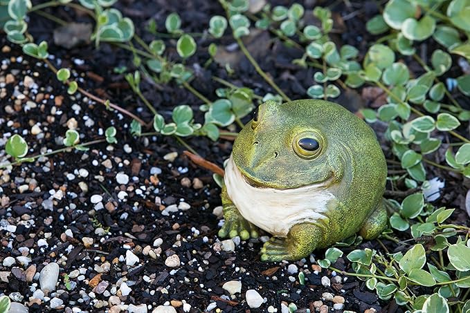 Evergreen Cute Portly Frog Outdoor Statue and Secret Key Holder | Weatherproof and Outdoor Safe | Garden Sculpture | Porch Garage or Patio Home Decor | 6 Inches Tall