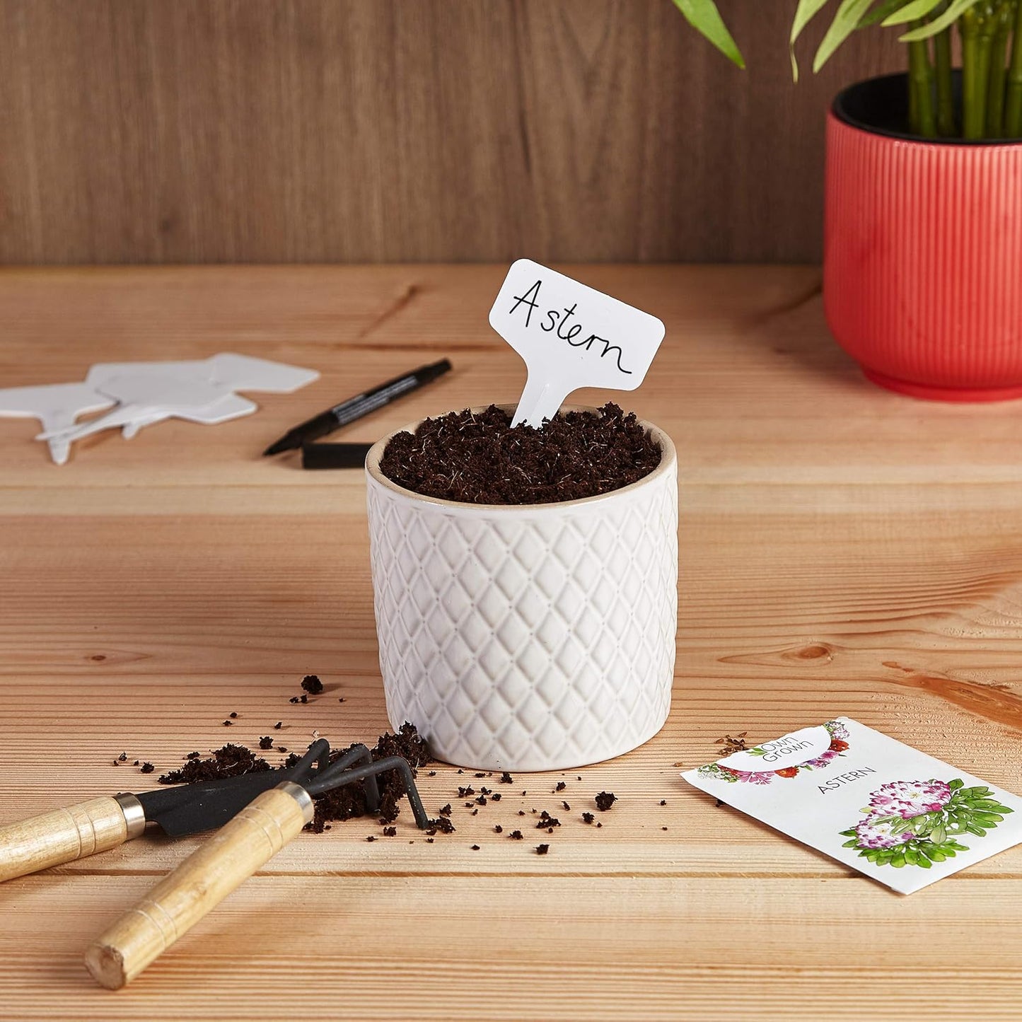 Plant Markers: 120 Plastic Plant Name Tags and Weatherproof Marker Pen – Plant Labels Wooden – Seedling Labels – Gardening Name Tags