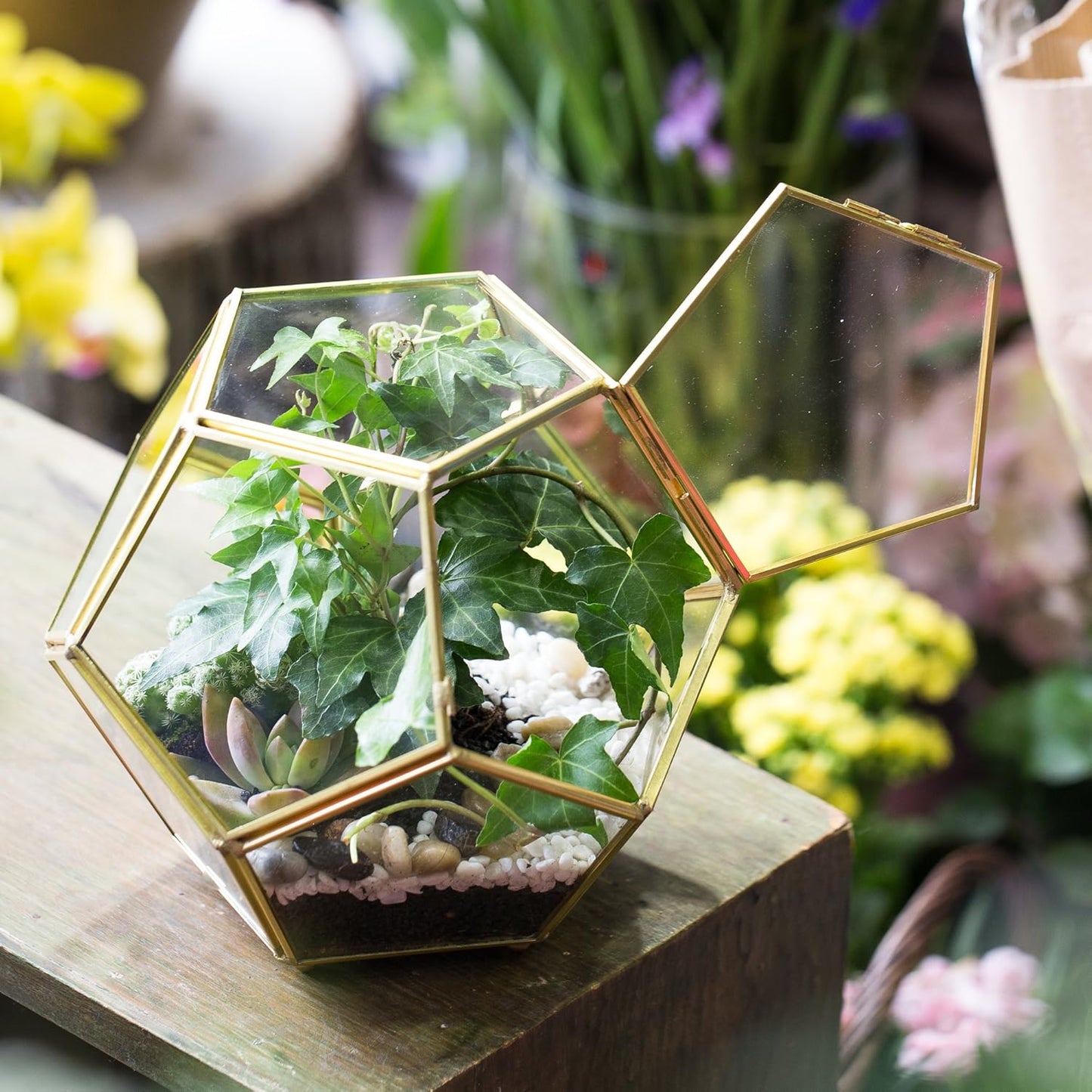 NCYP 6.89 x 6.89 x 5.9 inches Glass Geometric Terrarium Planter with Door and Foot, Pentagon Ball Shape Close Flower Pot for Fern Succulents Plants, Small, Gold (No Plants)