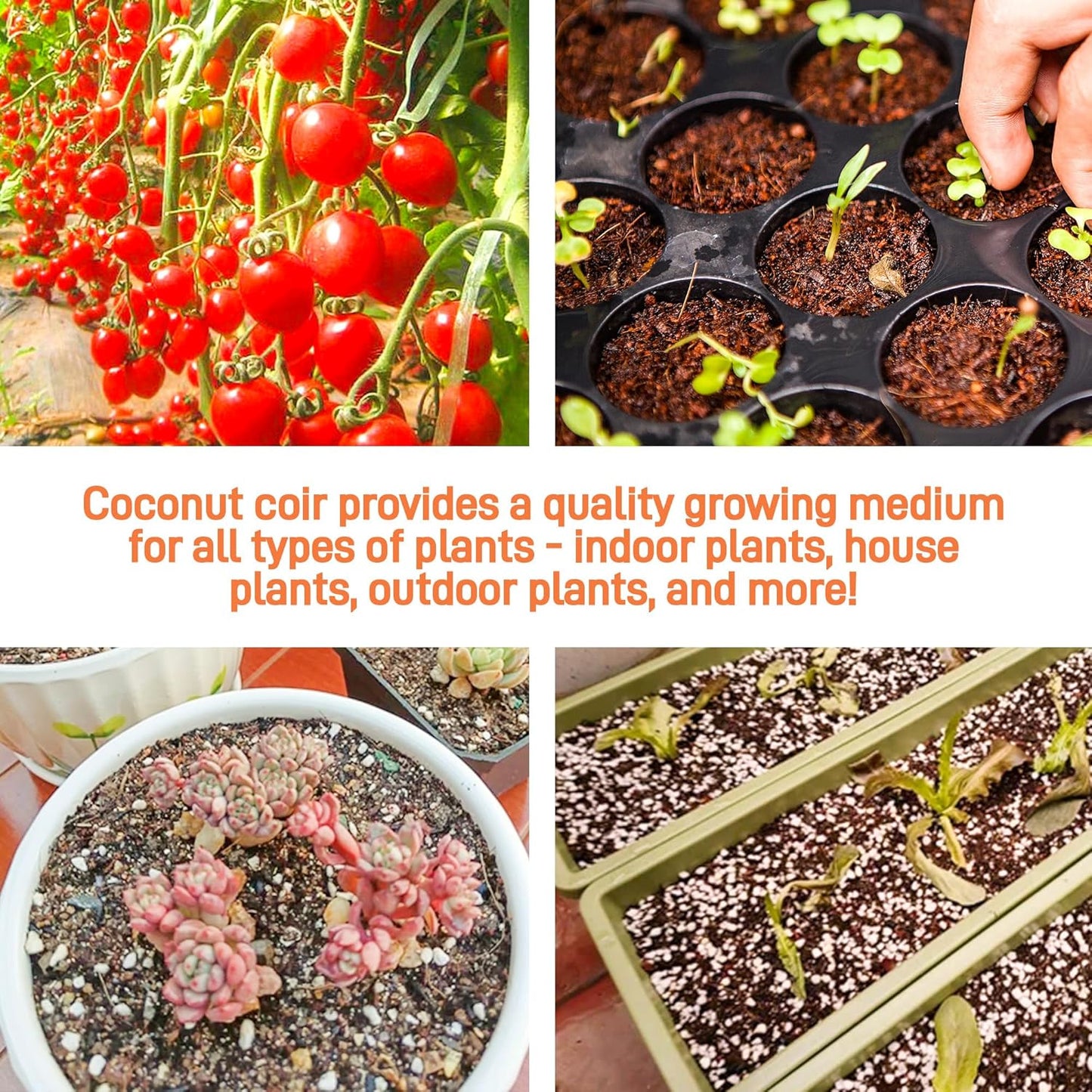 9-Pack Premium Organic Coco Coir Bricks for Plants - Low EC & pH Balance - 100% Natural Peat Moss Mix with Coconut Husk Fiber - Perfect for Gardening, Potting Soil Substrate - 12.6 lbs