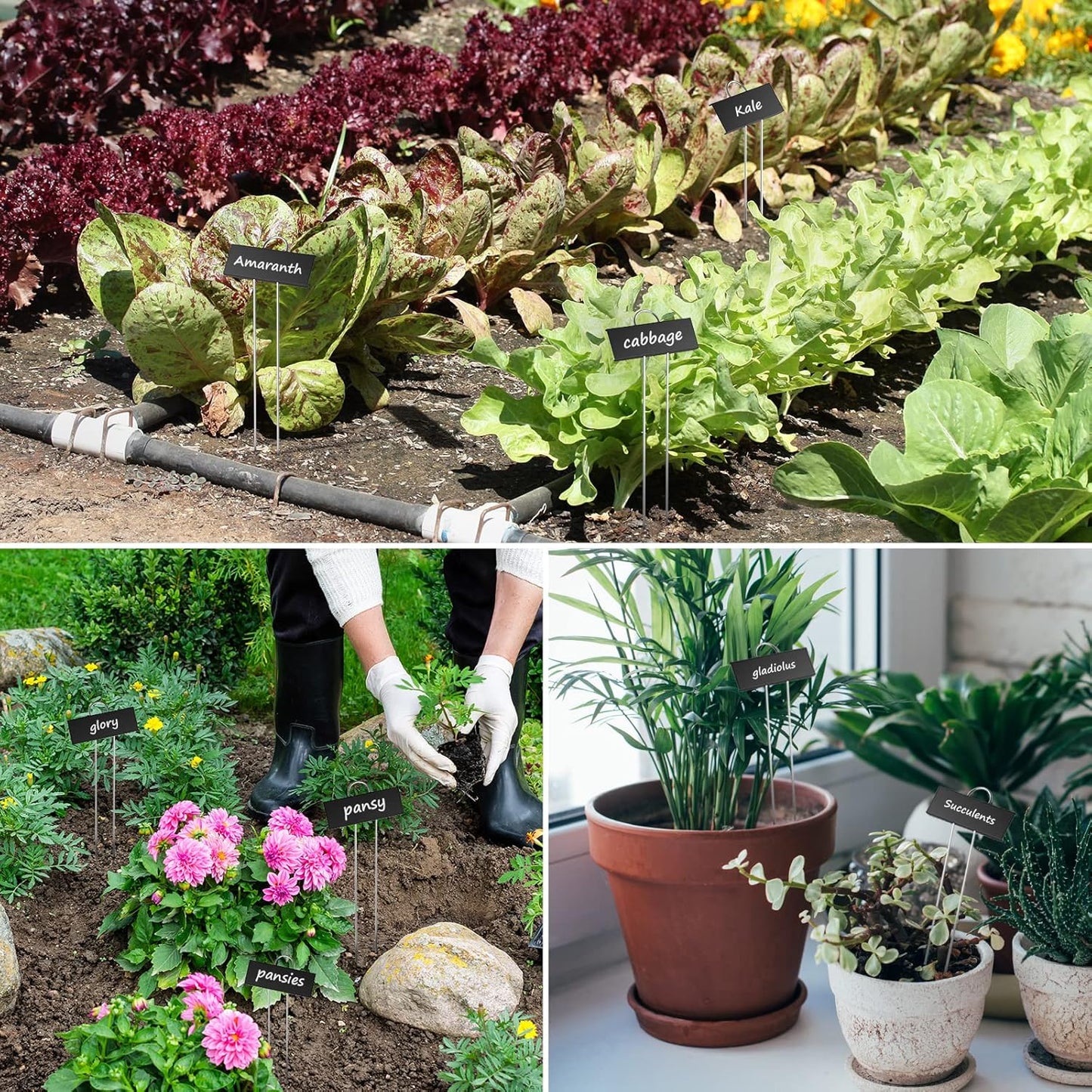 50-Pack Metal Plant Labels Weatherproof Garden Markers,Height 10.6'', Label Area 3.5''X 1.2'' Reusable Nursery Tags for Vegetables Herb Flower Seed Greenhouse - Black