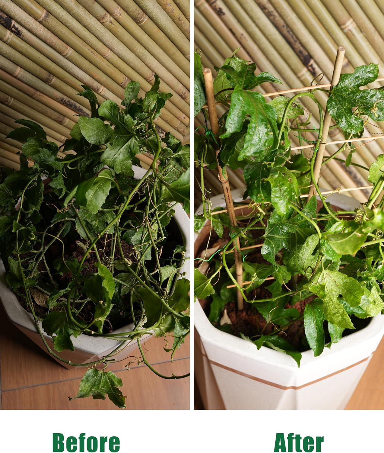 Bamboo Garden Trellis 24 Inch, 3 Pack Plant Trellis 2FT for Climbing Plants, Vines, Vegetables, Flowers, Potted Plants, Natural Bamboo Indoor Outdoor Support