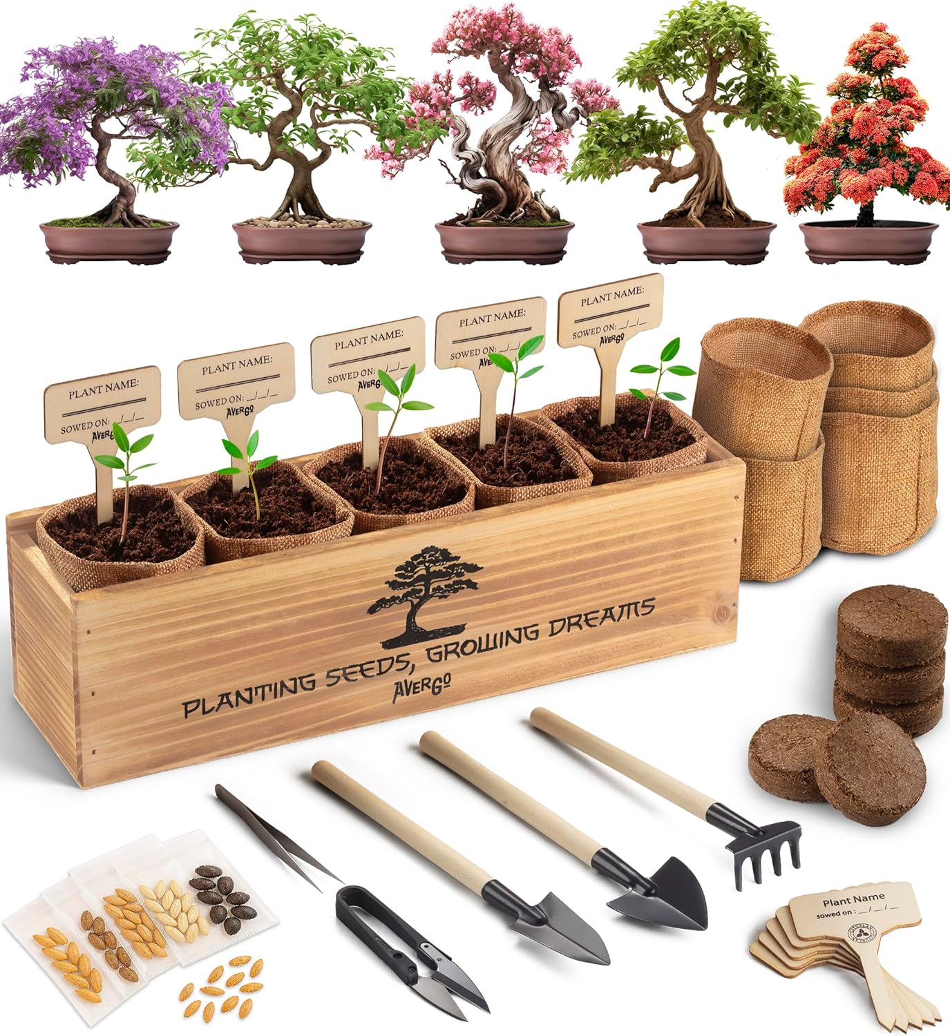 Bonsai Tree Kit for Beginners – 5X Unique Japanese Bonzai Trees | Complete Indoor Starter Kit for Growing Bonsai Plants with Tools & Planters – Gardening Gifts for Women & Men