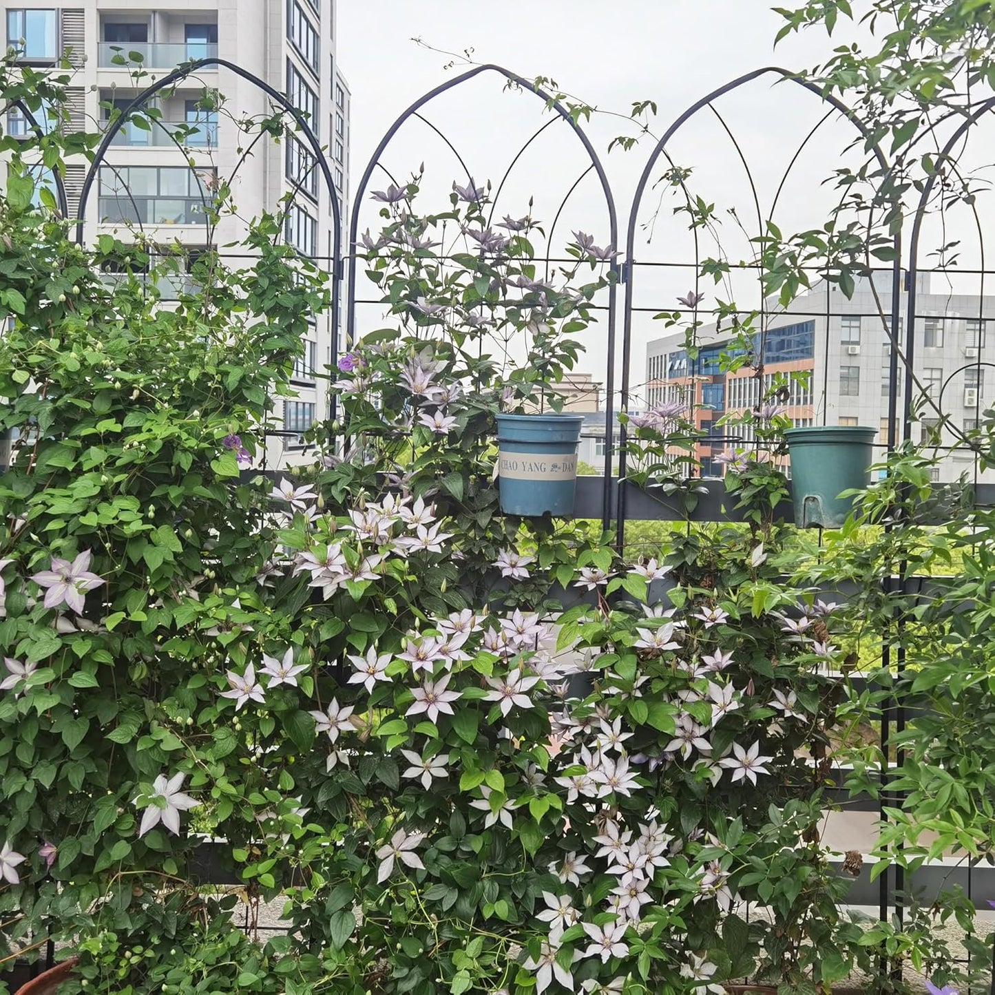 Metal Garden Trellis Rustproof Trellis for Climbing Plants Outdoor Flower Support (Black-4 Pack, 78.7"x19.7")