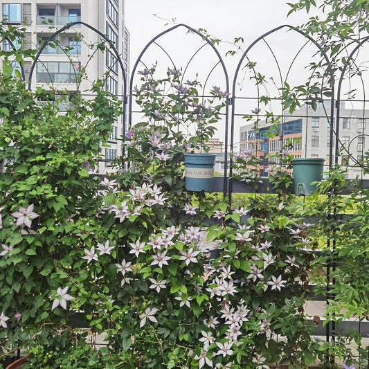 Metal Garden Trellis Rustproof Trellis for Climbing Plants Outdoor Flower Support (Black-4 Pack, 78.7"x19.7")