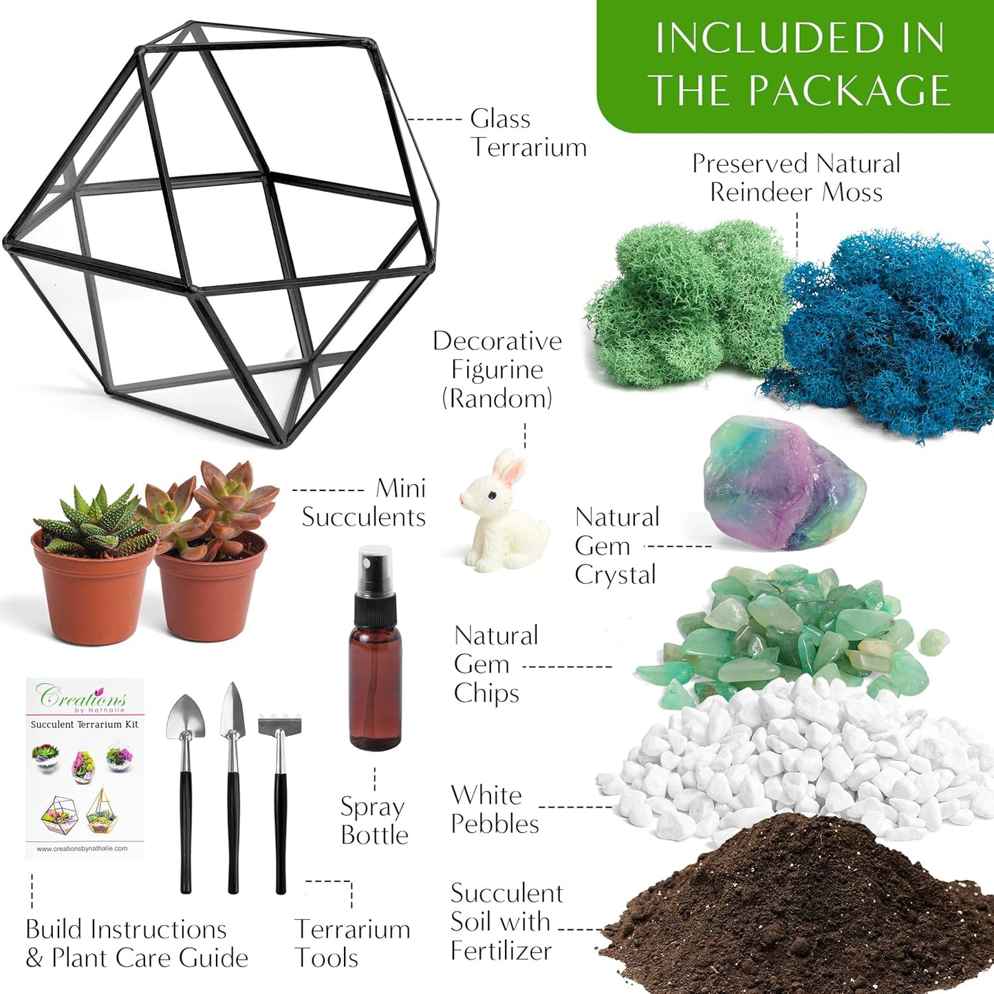 DIY 7" Geometric Terrarium Kit with Live Plants - Build Your Own Glass Terrarium for Adults & Kids with Moss, Crystals, Tools & Decor - Mini Ecosystem - Handcrafted in The USA