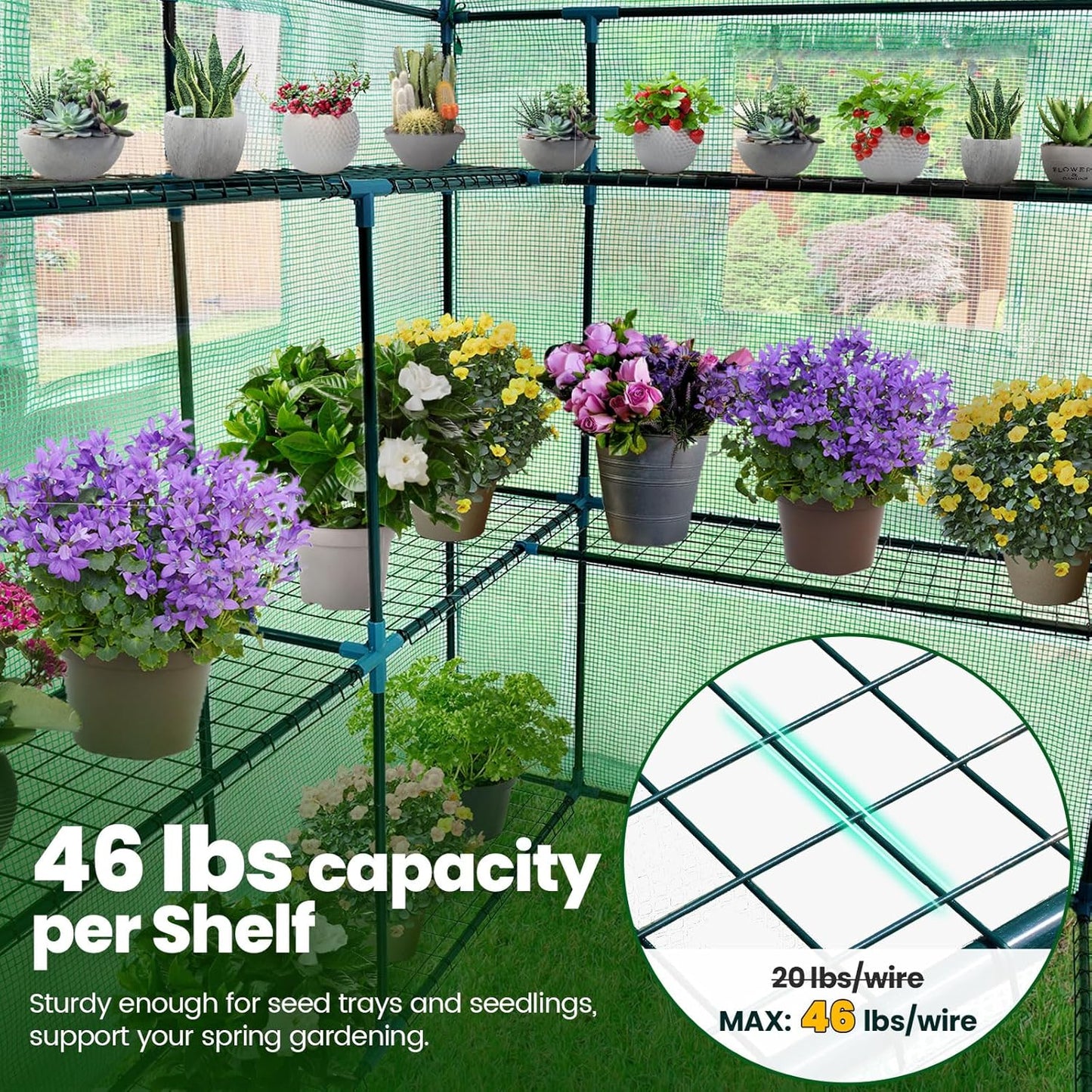 KING BIRD Premium Greenhouse for Outdoors, 56 x 56 x 77 Upgraded PE Cover & Steel Frame Walk in Hot House, w/ Zippered Screen Windows Mesh Door, 3 Tiers 14 Shelves for Outside Garden, Green