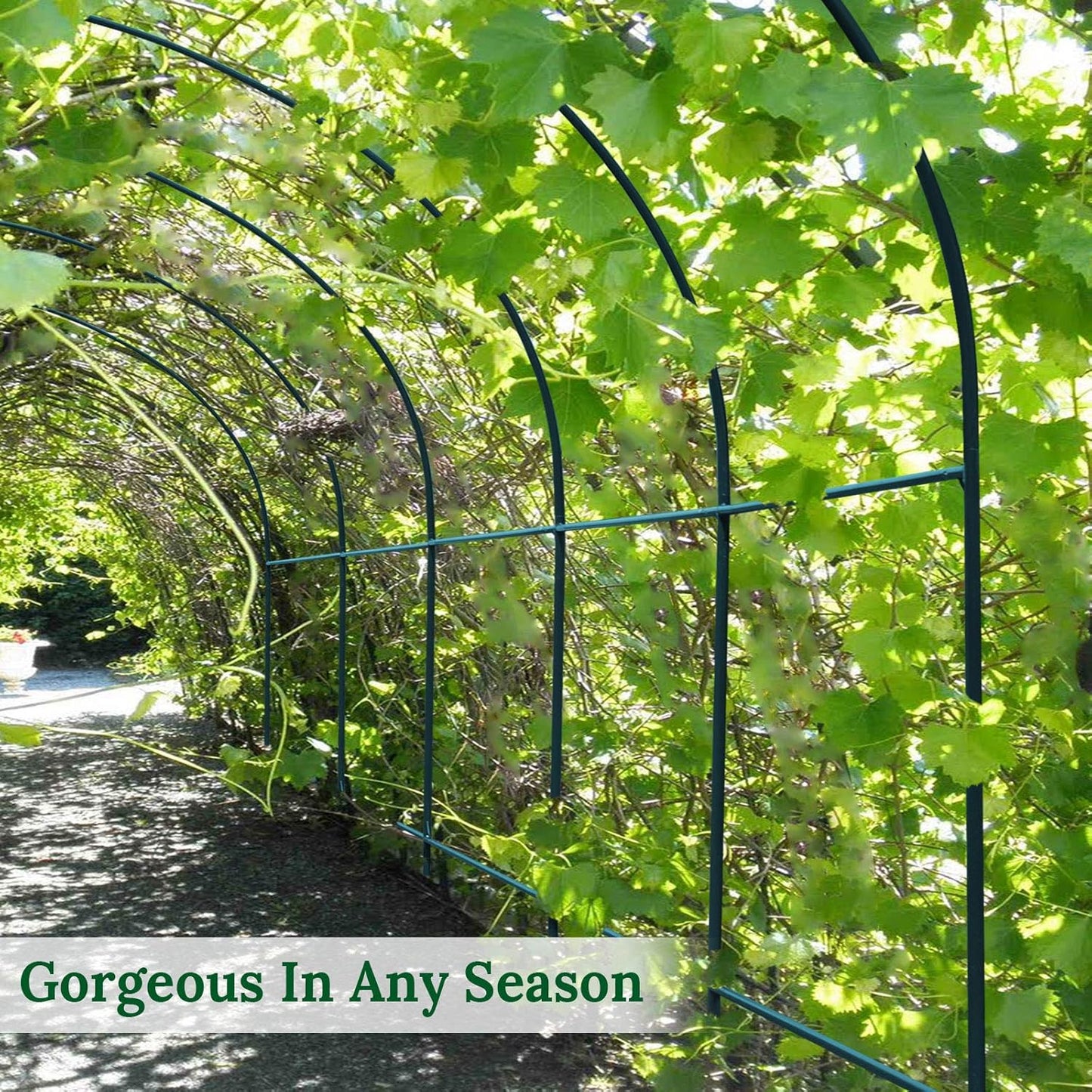 Multi-Size Large Garden Support Arch Frame Climbing Plant Arch Arbor for Flowers/Fruits/Vegetables (13FT x 7FT x 7.2FT)