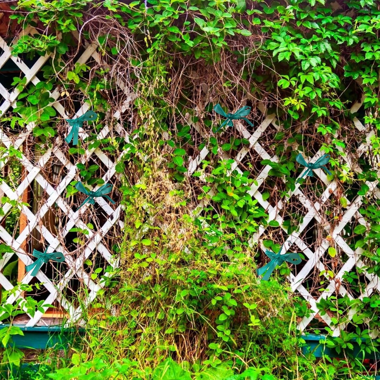 KINGLAKE GARDEN Stretch Tie Tape Roll - 2 Rolls Total 300 Feet 1/2" Green Garden Tape Plant Tapes Plant Garden Tie for Climbing Plants Branches Flowers