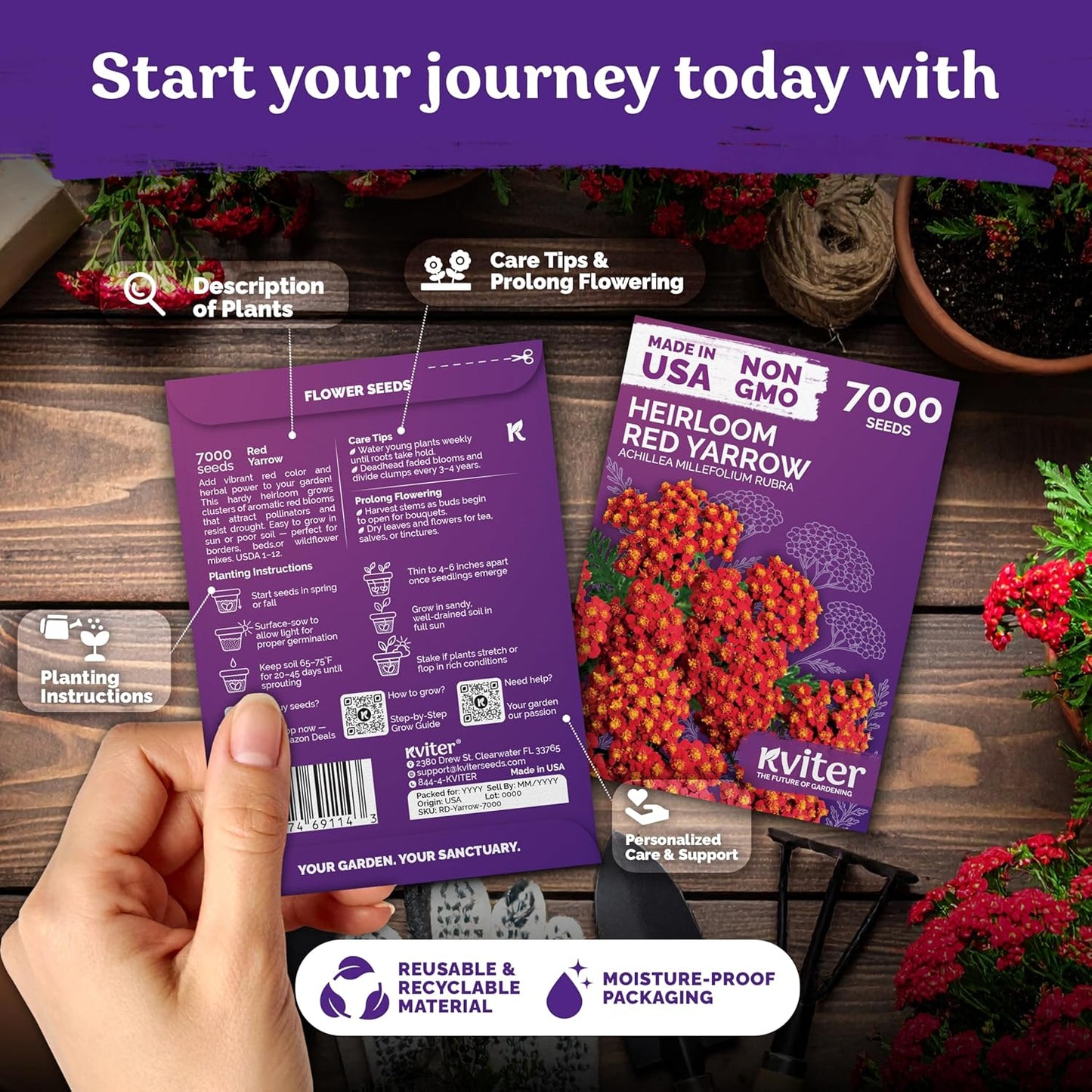 KVITER 7000 Red Yarrow Seeds (Achillea Millefolium Rubra) — Perennial Flower Seeds to Plant Outside, Heirloom & Organic — Native Wildflower Seed for Herb Garden, Beds, Containers & Meadows