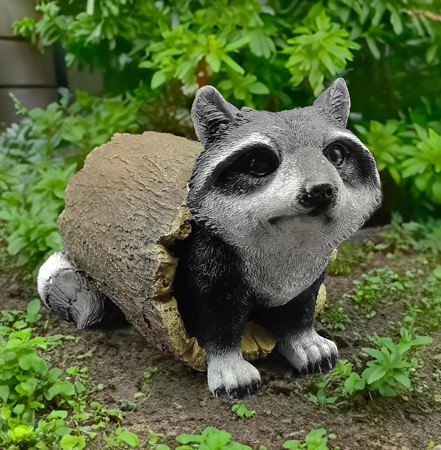 coolboy Outdoor Raccoon Statue Garden Decoration,Cute Raccoon Sculpture Art Interior Office Home Décor,Resin Animal Figurine Art Decoration for Garden Yard Lawn