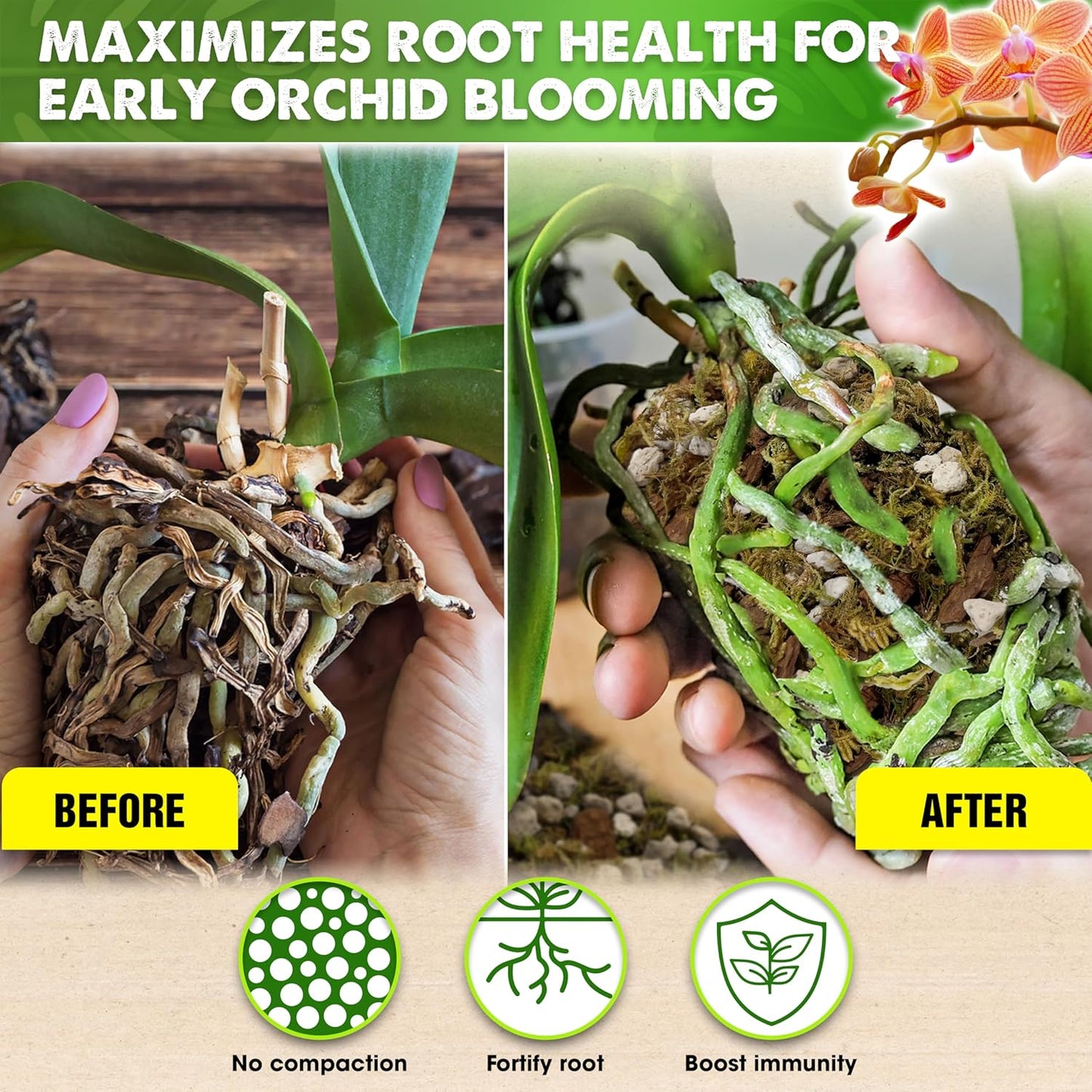 [Upgraded] DUSPRO Orchid Potting Mix for Repotting with Forest Moss, Pine Bark, Perlite & Pumice, Orchid Bark Potting Mix, Orchid Repotting Soil, Drainage Indoor Potting, Orchid Pot Not Included, 10QT