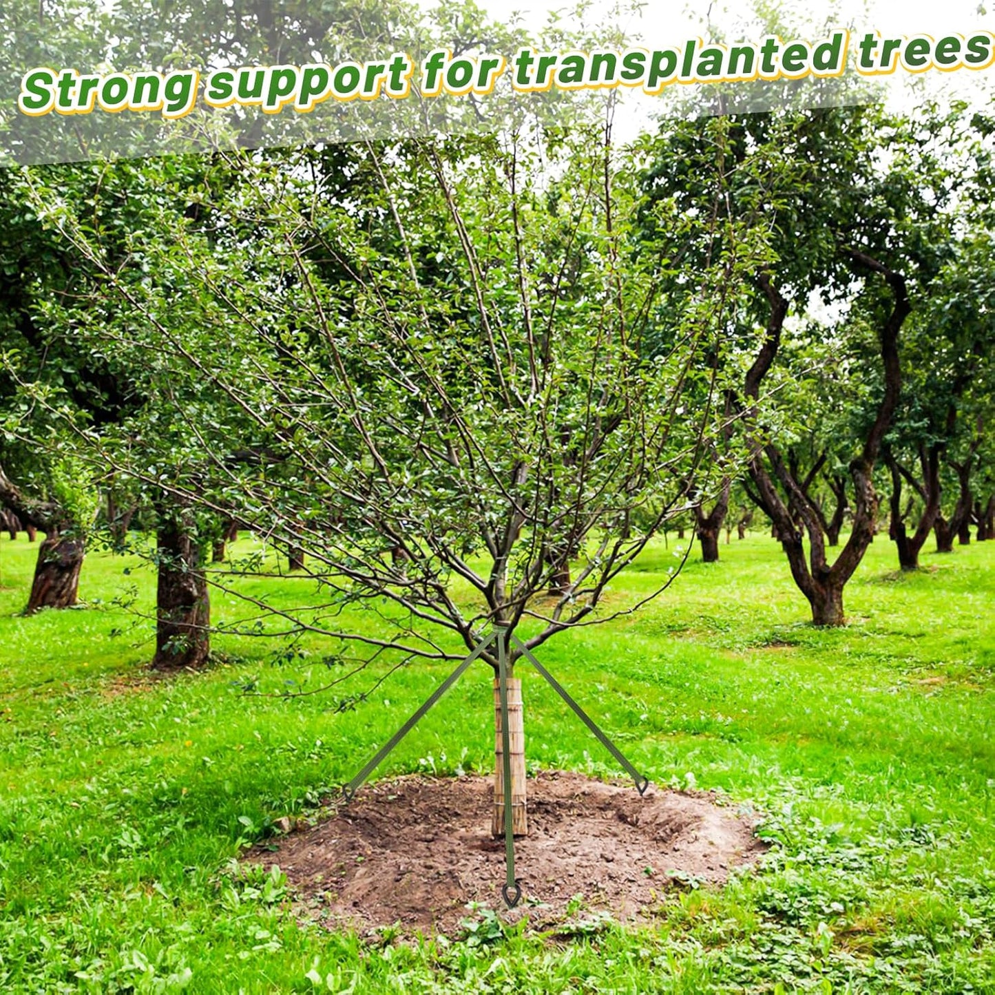 Biubee 2,425 Lbs Strength Tree Straps - 108FT Tree Tie Support Straps for Staking, Green Blend in with Landscaping for Guying Young Trees Straight and Storm Protection, for Outdoor Plants, 1" Wide