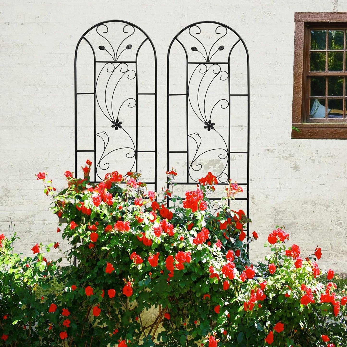 Metal Garden Trellis Rustproof Trellis for Climbing Plants Outdoor Flower Support Peacock Style (Black-4 Pack, 86.7"x19.7")
