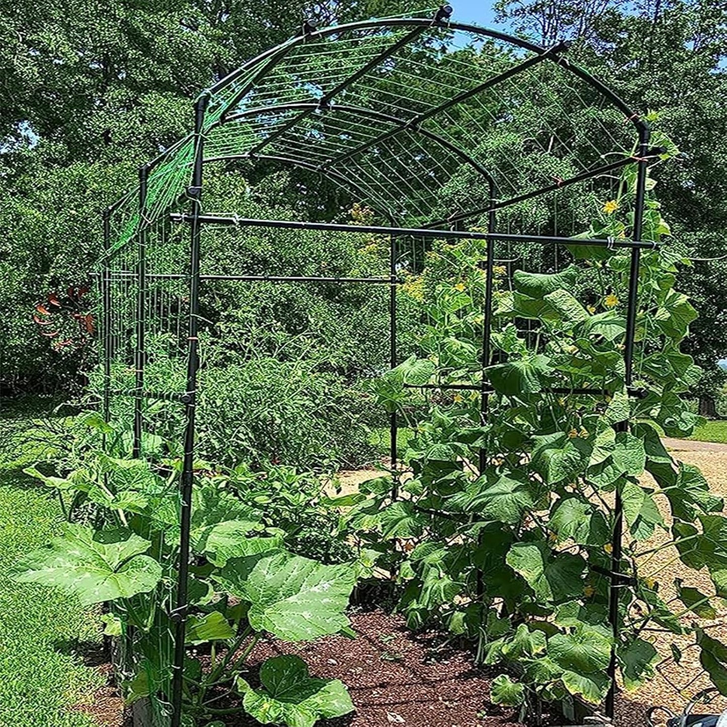 DoCred Tall Garden Arch Trellis for Climbing Plants, 87in Tall Metal Plant Support Trellis Archway for Climbing Vine Vegetable/Fruit/Flower Outdoor Yard Lawn Garden Arch Tunnel Trellis