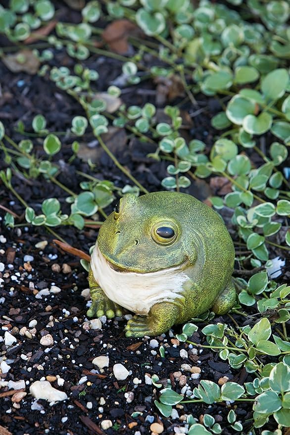 Evergreen Cute Portly Frog Outdoor Statue and Secret Key Holder | Weatherproof and Outdoor Safe | Garden Sculpture | Porch Garage or Patio Home Decor | 6 Inches Tall