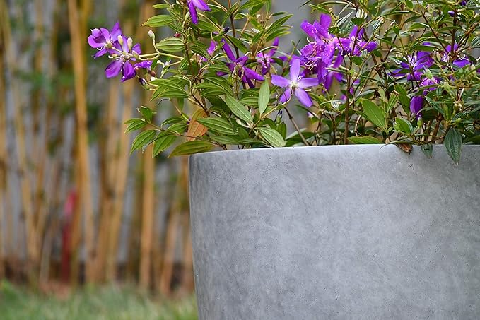 Kante 14 Inch Dia Round Concrete Planter, Indoor Outdoor Large Plant Pot with Drainage Hole and Rubber Plug for Home Patio Garden, Natural Concrete