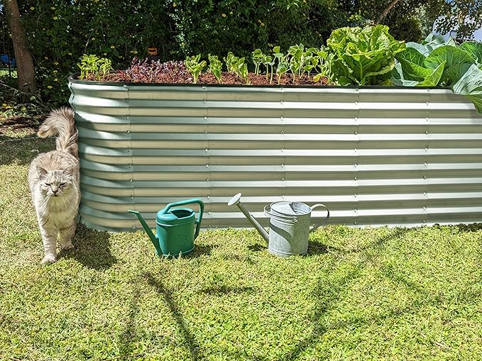 Galvanized Raised Garden Beds Outdoor // 6×2×2 ft Planter Raised Beds for Gardening, Vegetables, Flowers // Large Metal Garden Box (Silver) // Patented Tool-Free Design