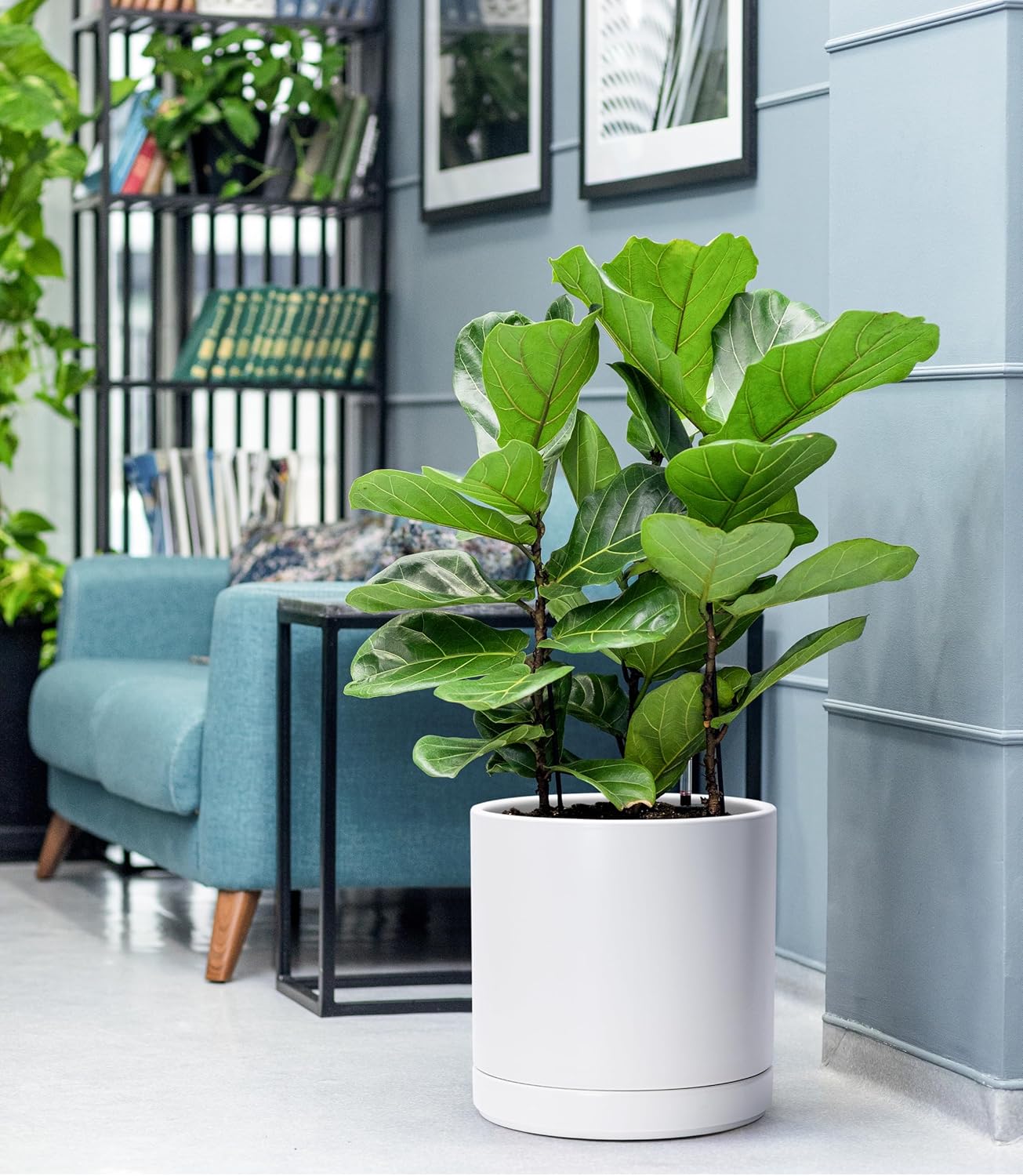 D'vine Dev Set of 2 Plants Pots, 10 Inch Ceramic Planter Pot for Plants with Drainage Hole and Saucer, White, 94-V-E-1