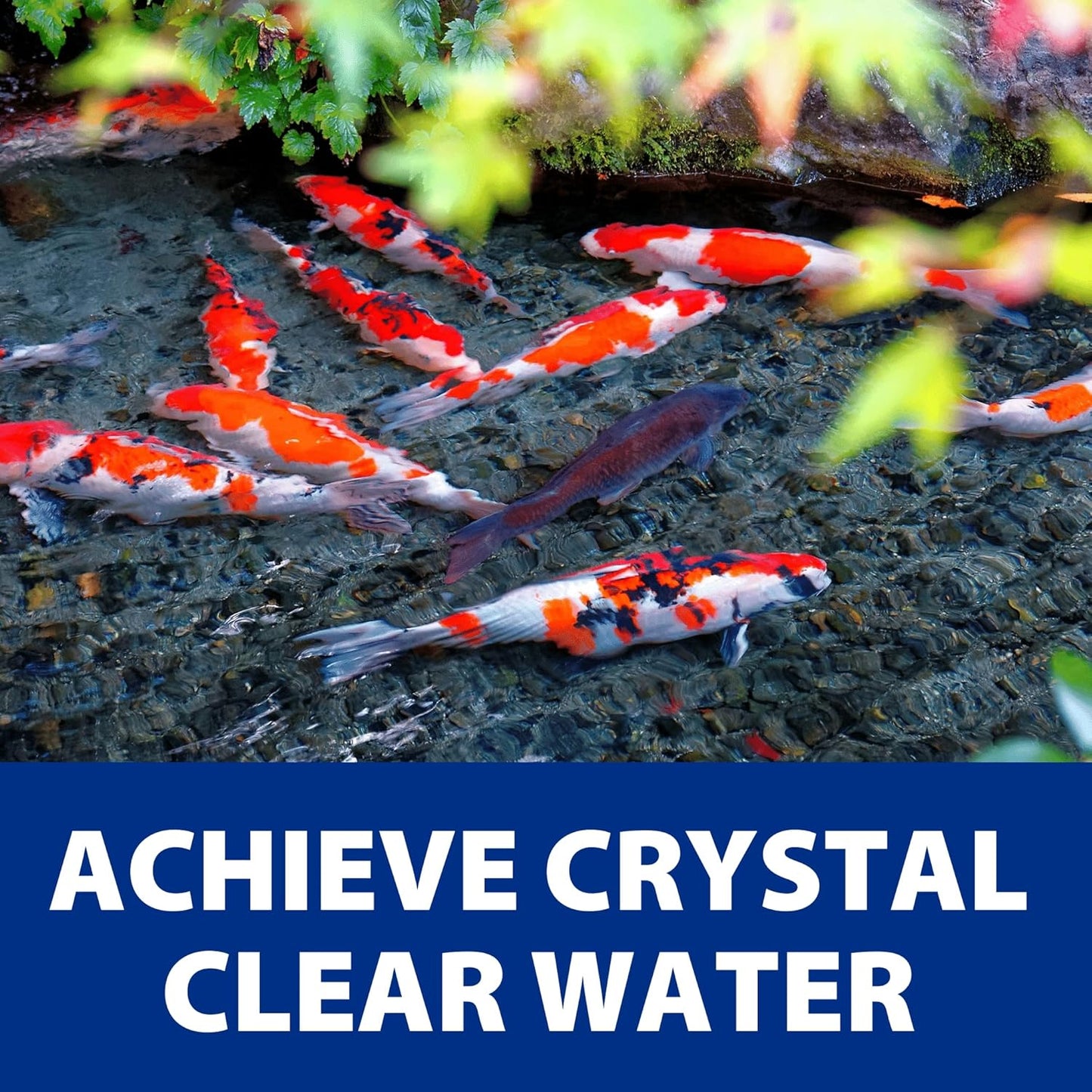 The Pond Guy AllClear G2 Bio Pressure Filter & Ultraviolet Light Clarifier with Backflush System, Pressurized External UVC Biological & Mechanical Filtration, Koi Fish Water Garden, All Clear 4500
