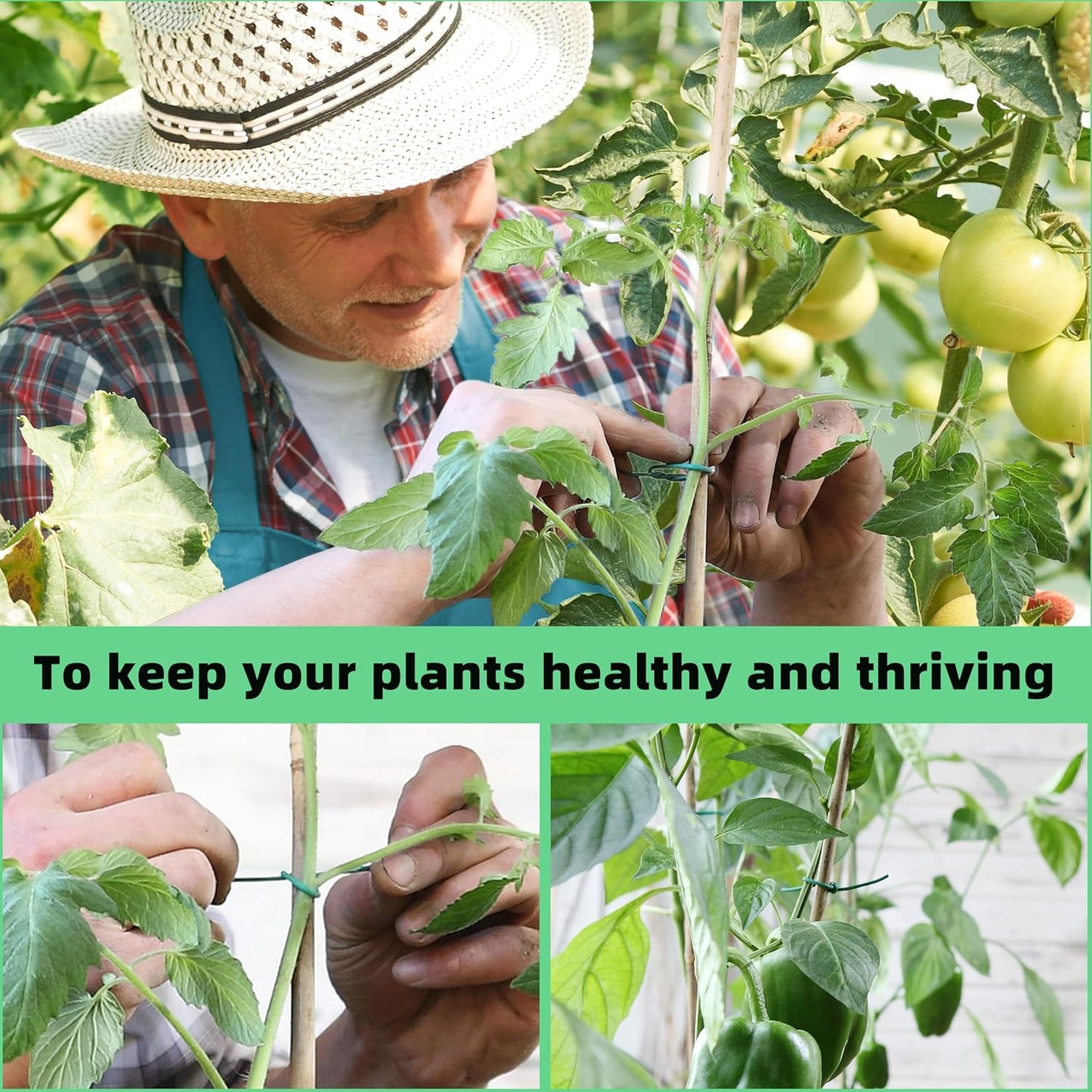 YMHB 120 Feet Green Soft Twist Tie Tomato Plant Tie, Garden Wire Green Twist Garden Ties for Supporting Plants and Home Organizing