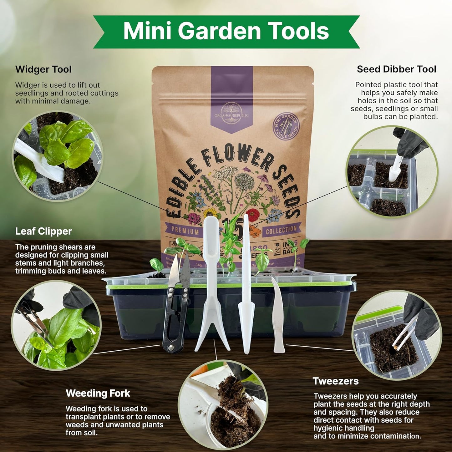 Organo Republic 15 Edible Flower Seeds Variety Pack- Indoor/Outdoor. 4800+ Non-GMO Heirloom Flower: Borage, Bishop's Flower, Chicory, Chives, Hyssop, Echinacea, Lavender Seeds & More