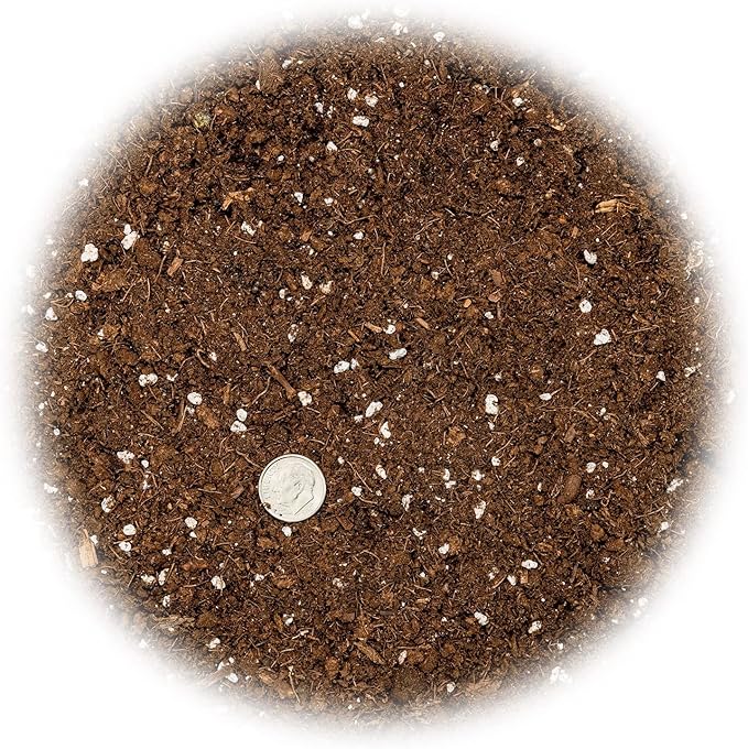 Money Tree Potting Soil, Soil Mix for Planting or Repotting Guiana Chestnut, Soil Blended to Properly Grow Money Tree Plants - (1 Quart Bag)