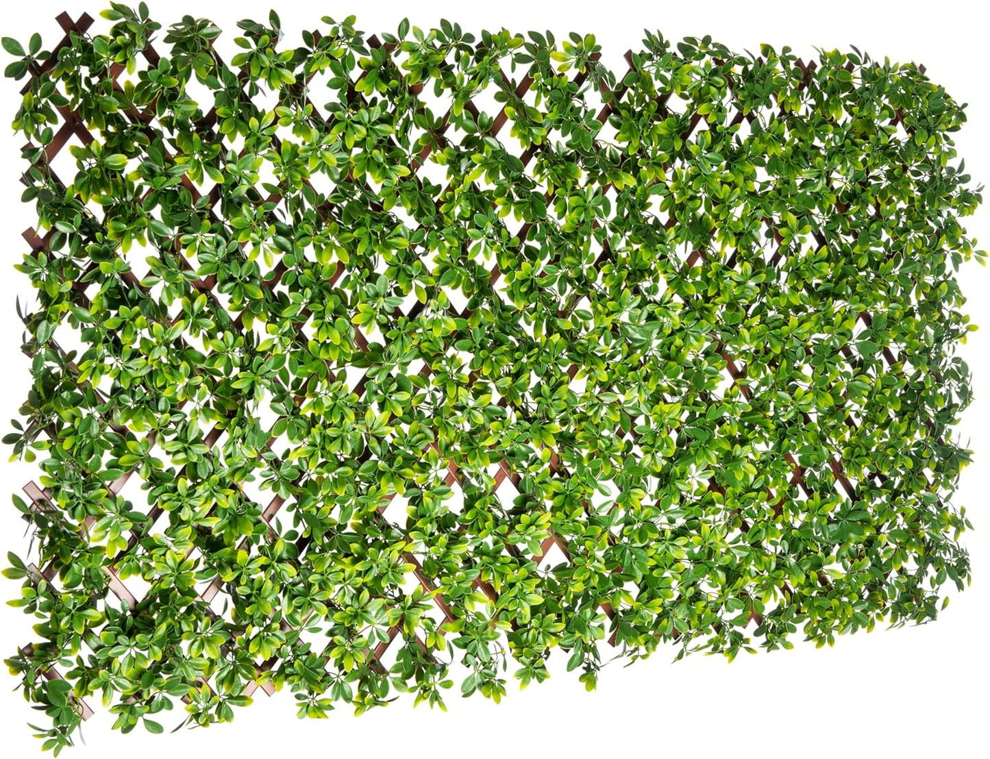Naturae Decor PVC Expandable Trellis - Outdoor Privacy Screen - Sturdy and Flexible - Realistic Look - 36 in x 72 in - Schefflera Leaves