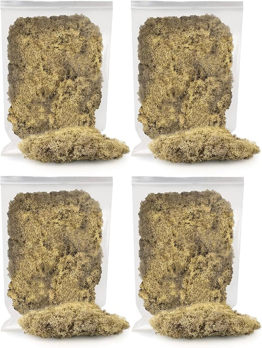 Premium Preserved Reindeer Moss for Potted Plants, Terrariums, Fairy Gardens, Arts and Crafts or Floral Decor Design in Natural (20 Quart)