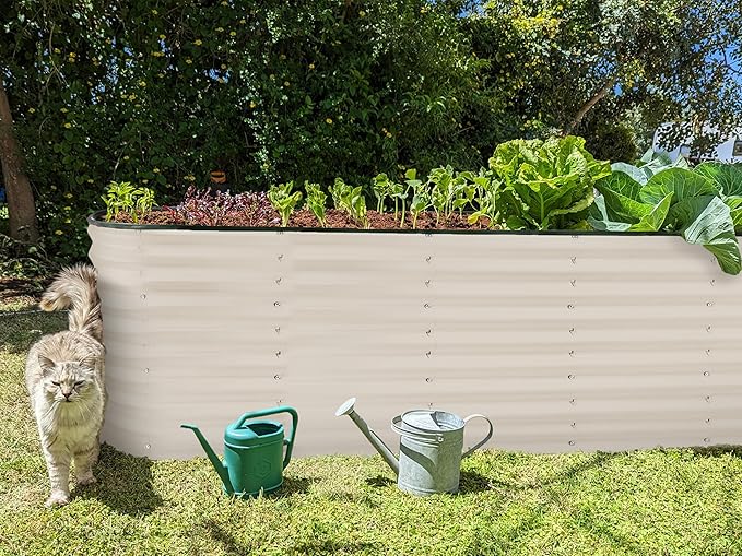 Galvanized Raised Garden Beds Outdoor // 6×2×2 ft Planter Raised Beds for Gardening, Vegetables, Flowers // Large Metal Garden Box (White) // Patented Tool-Free Design