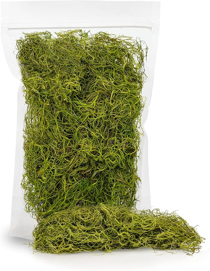 Premium Spanish Moss in Spring Green| Natural Preserved - Great Ground Cover - Filler for Potted Plants - by GARDENERA - 1 Quart Bag