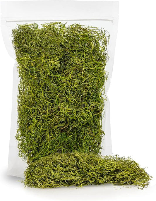 Premium Spanish Moss in Spring Green| Natural Preserved - Great Ground Cover - Filler for Potted Plants - by GARDENERA - 3 Quart Bag