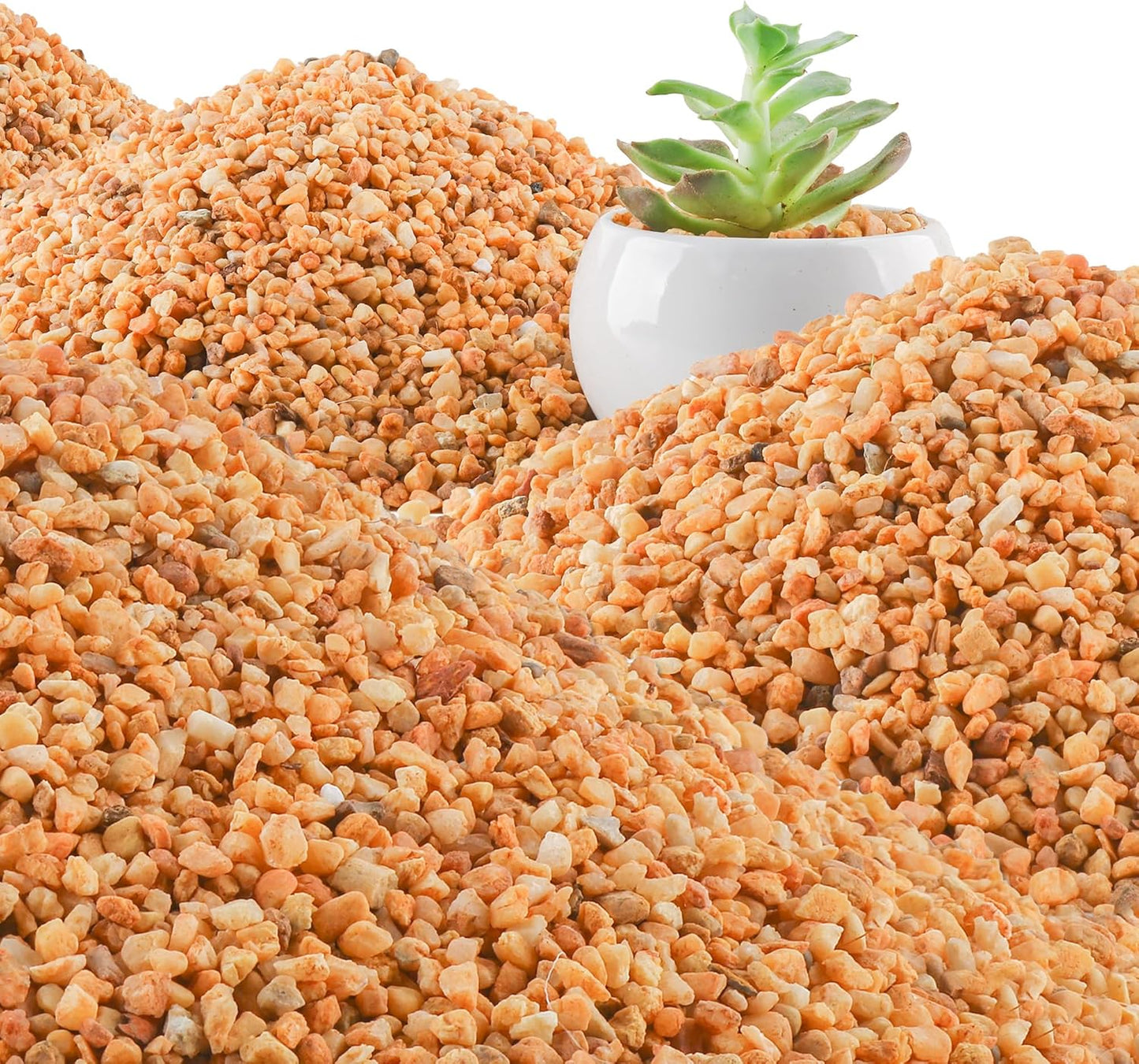 45lb Cactus Pea Gravel Rocks,1/5 Inch Pebbles for Indoor Plants, Natural Succulent Rock and River Rocks Decorative for Aquariums, Vases, Terrarium, Outdoor Gardening, Top Dressing for Potted Plants