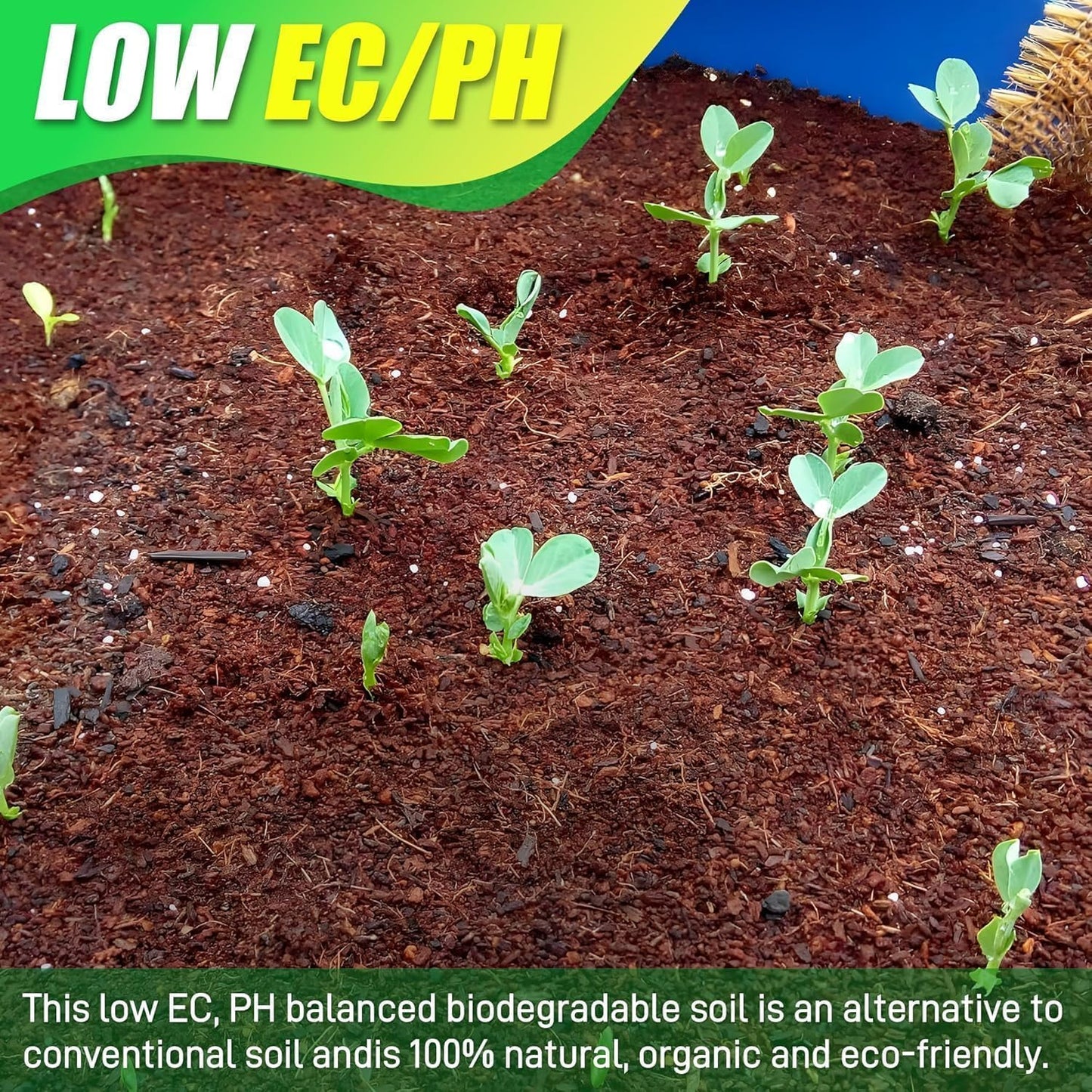 Coco Coir Brick for Plants-4 Pack Premium Coconut Bricks, 100% Organic Peat Moss, Fiber Coconut Husk for Planting, Gardening, Potting Soil Substrate