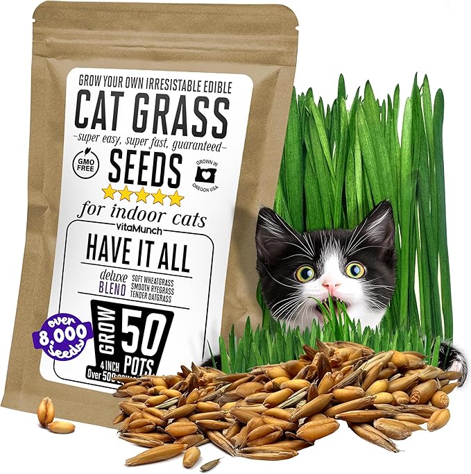 Cat Grass Seeds Deluxe Blend – Tender, Smooth and Chonky – Grows 50 Pots of Fresh Cat Grass for Indoor Cats – Easy & Fast to Grow Bulk Rescuer's Pack Grows 600 Square inches of Edible cat Grass