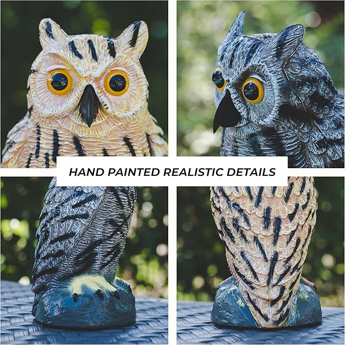 Galashield Owl Decoy to Scare Birds Away | Plastic Owls to Scare Birds Away | Owl Statue for Garden & Outdoors by Galashield [Set of 2]