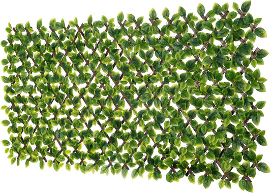 Naturae Decor PVC Expandable Trellis - Outdoor Privacy Screen - Sturdy and Flexible - Realistic Look - 36 in x 72 in - Mint Leaves
