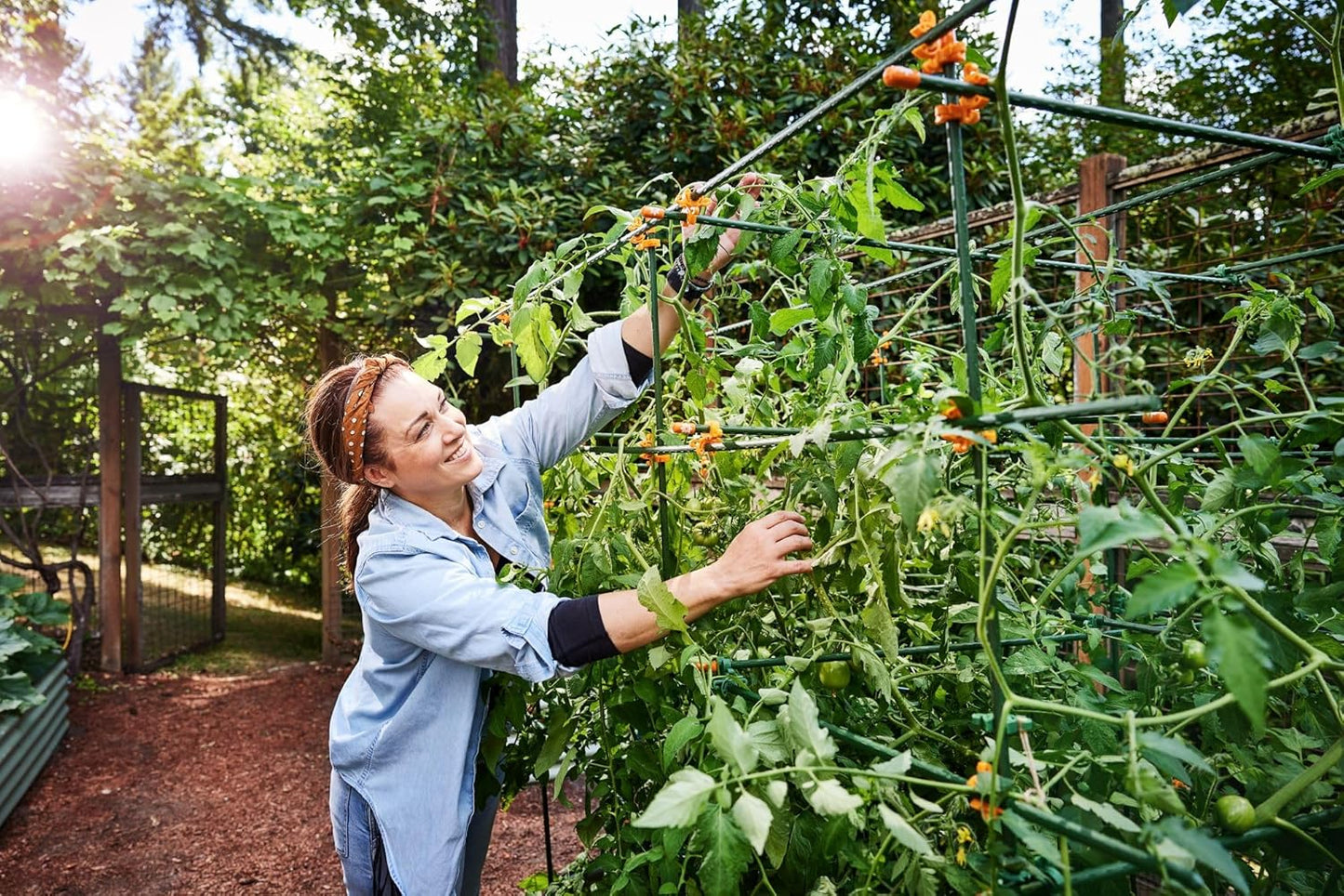 Plant Support Clips for Trellis, Garden Stakes, Wire Fence, Climbing Plants, Indoor Gardening, Hydroponics Systems, and Vines | Durable Gardening Clips (50 Lime Green + 50 Tangerine Orange)